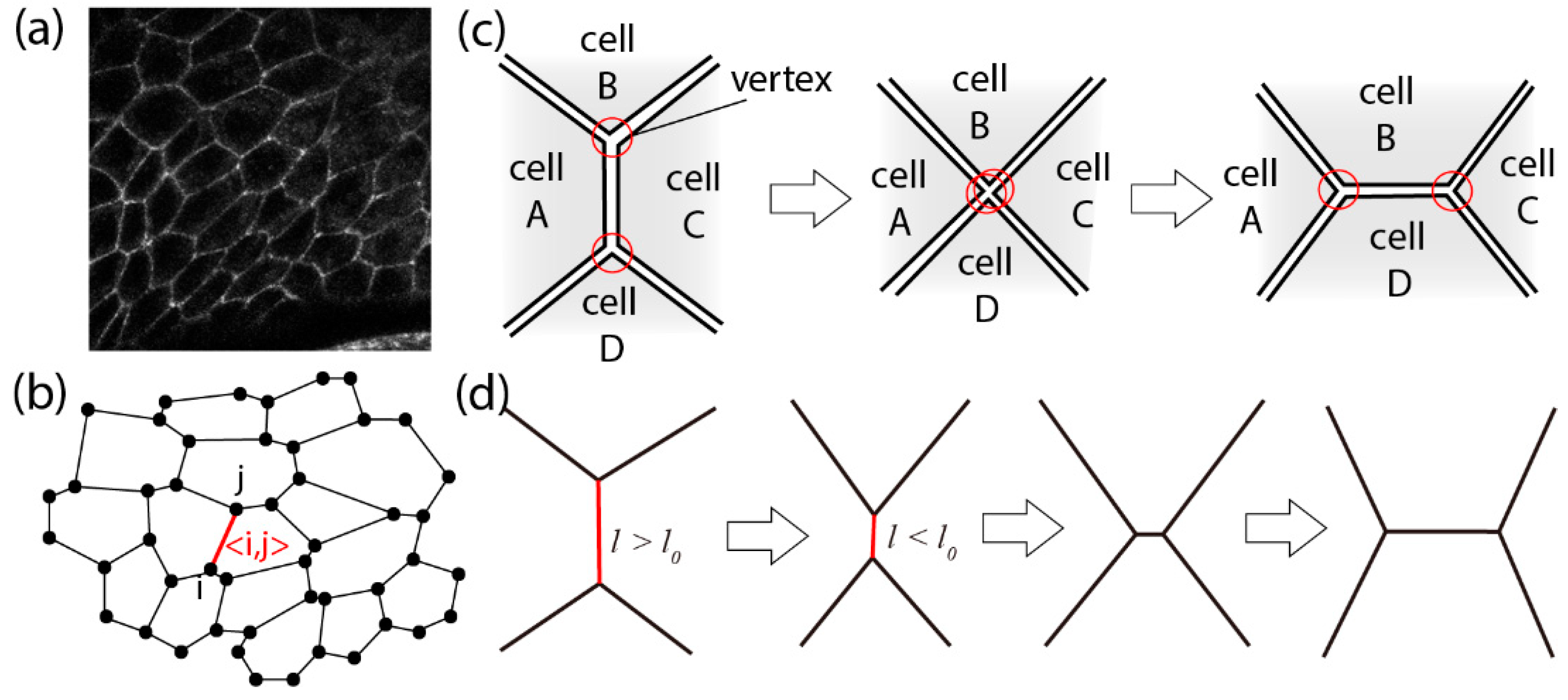 Symmetry 11 00113 g002 Symmetry 11 00113 g002