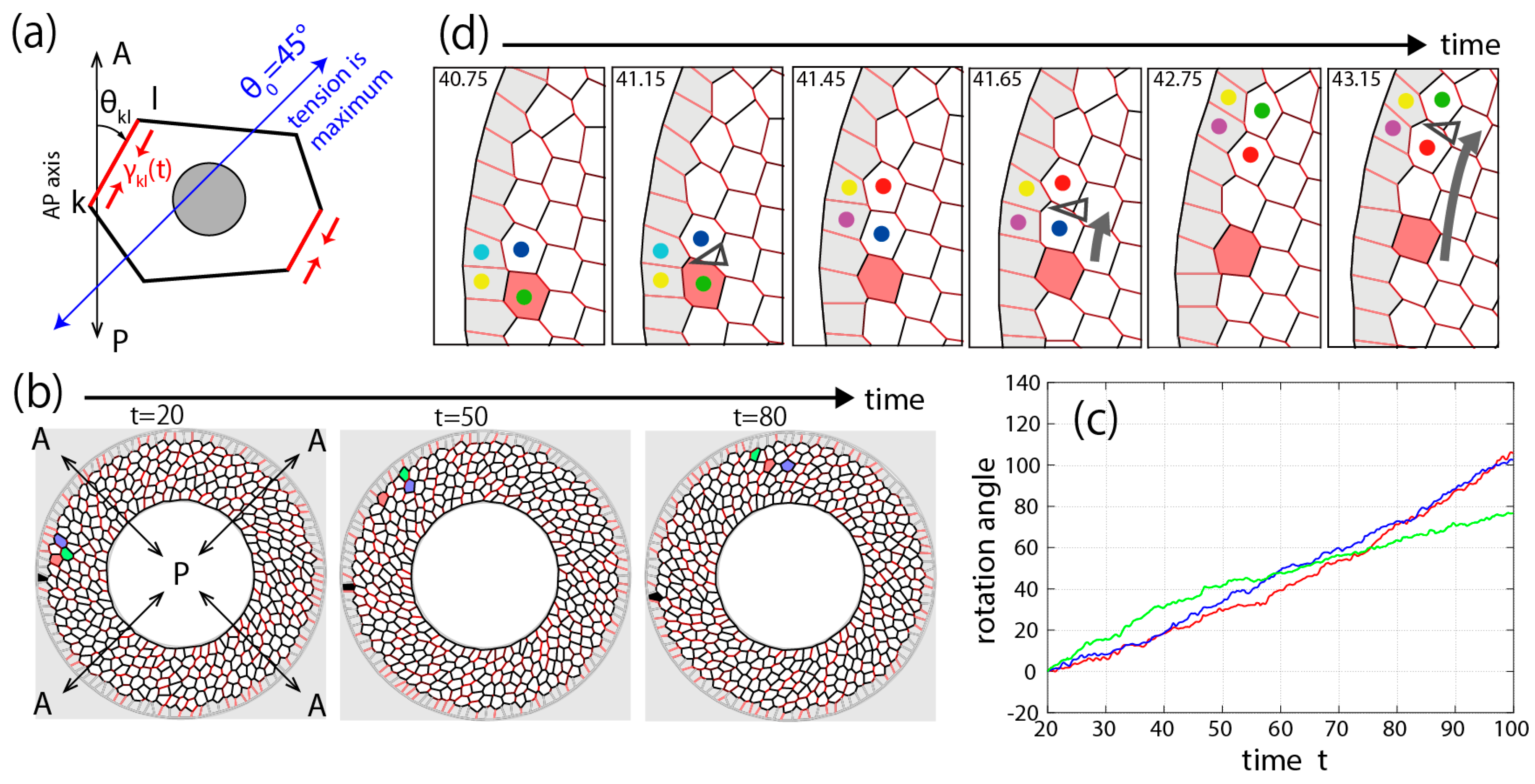 Symmetry 11 00113 g003 Symmetry 11 00113 g003