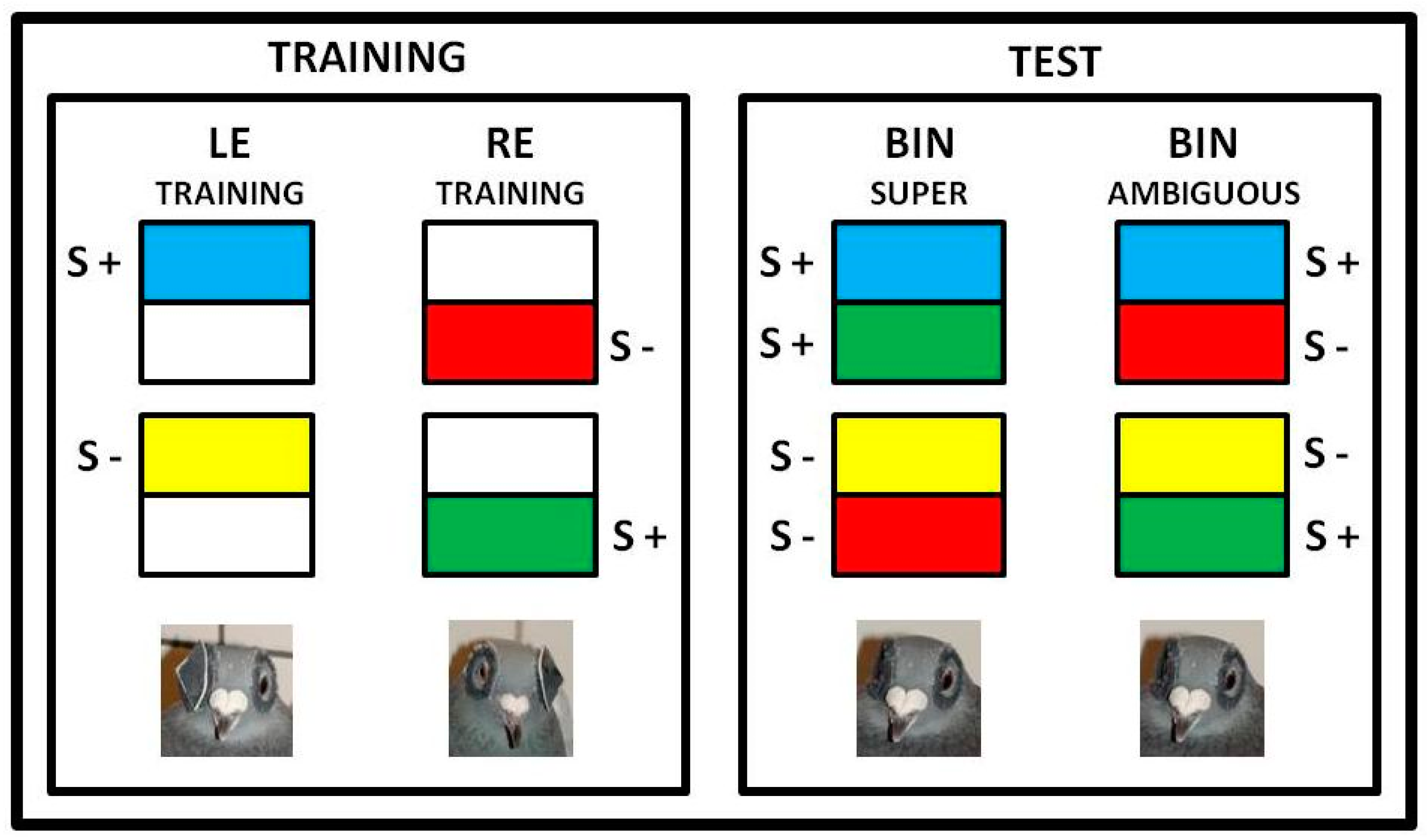 Symmetry 11 00124 g001