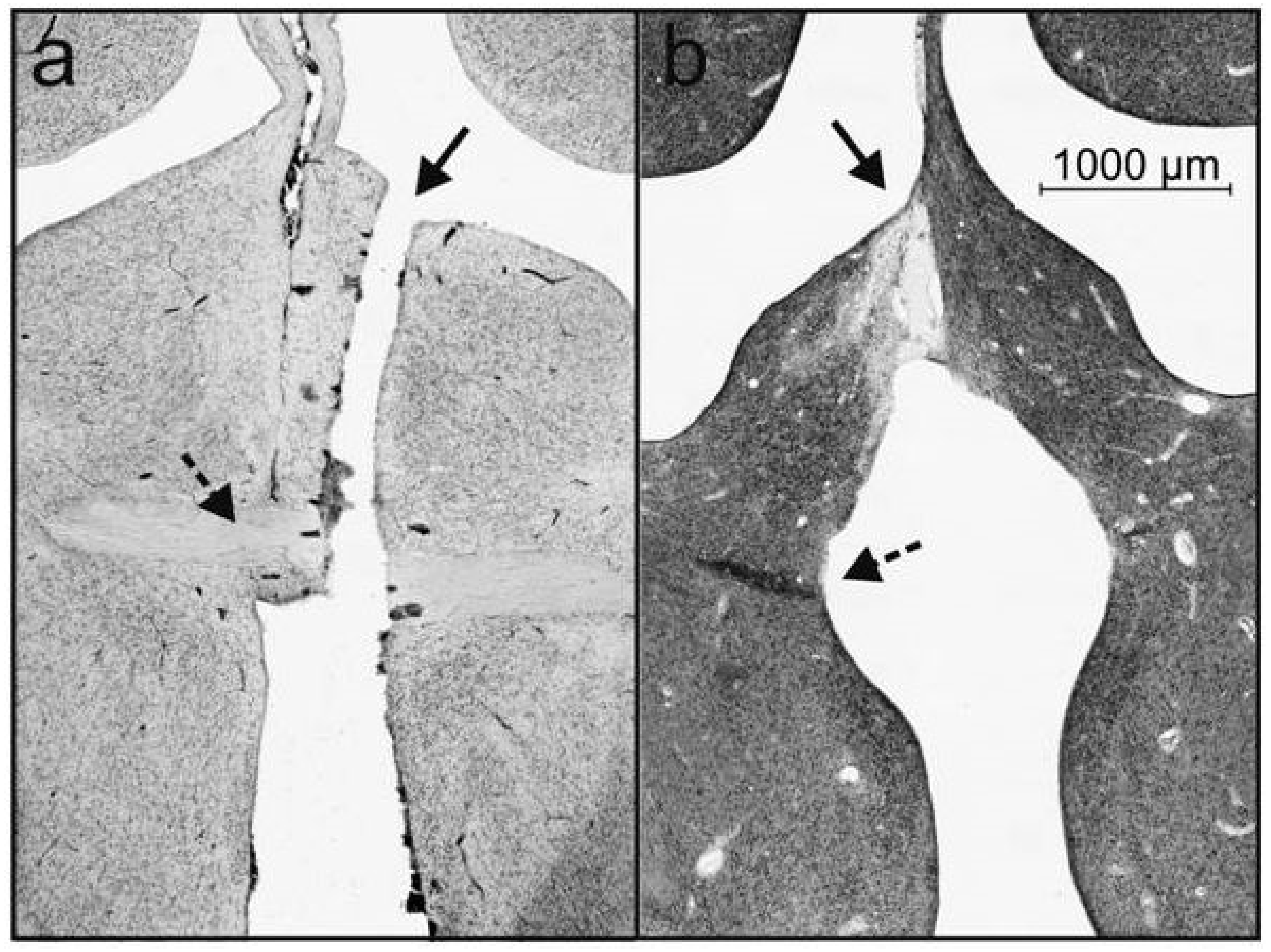 Symmetry 11 00124 g002