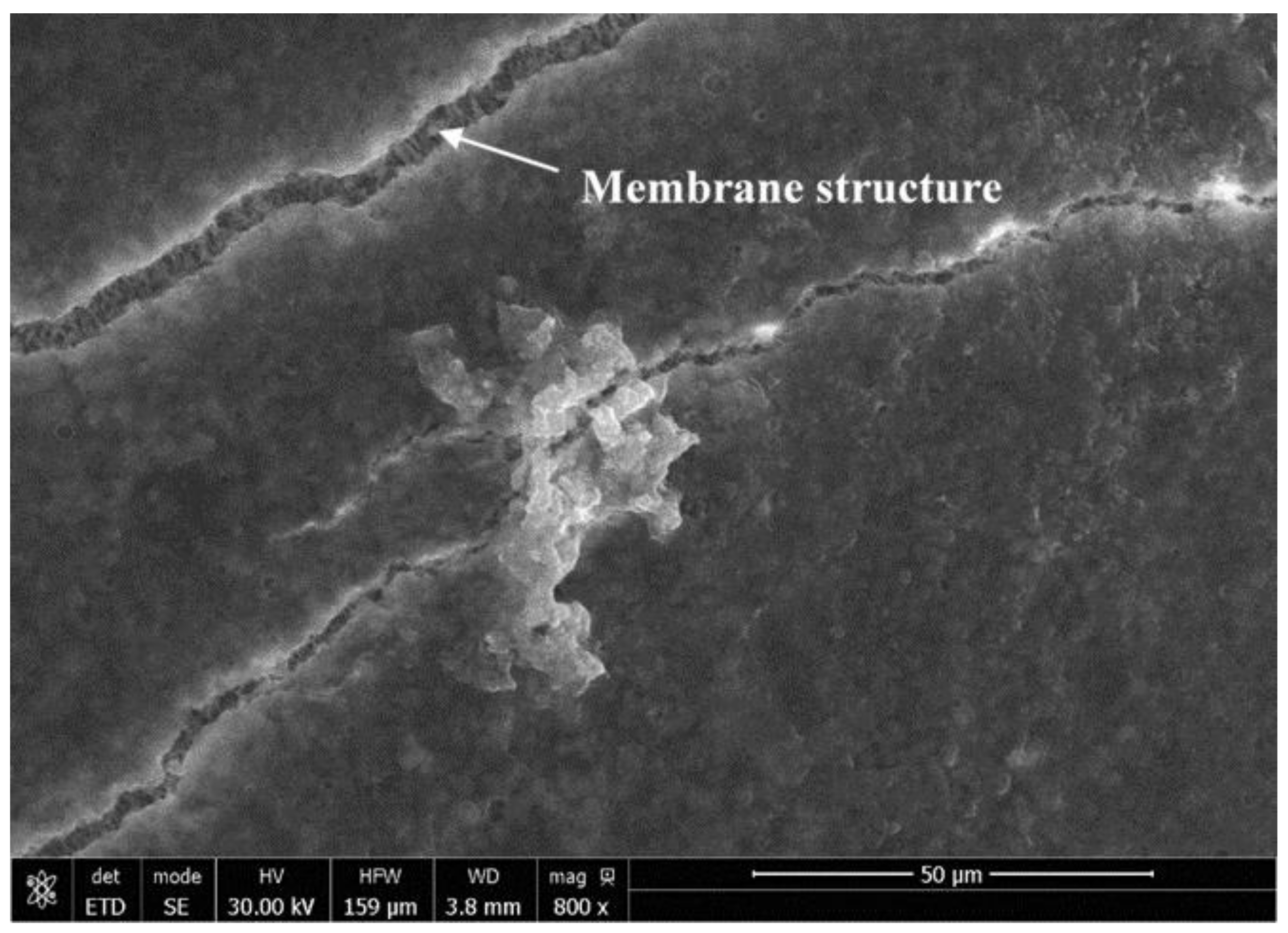 Symmetry 11 00126 g006 Symmetry 11 00126 g006