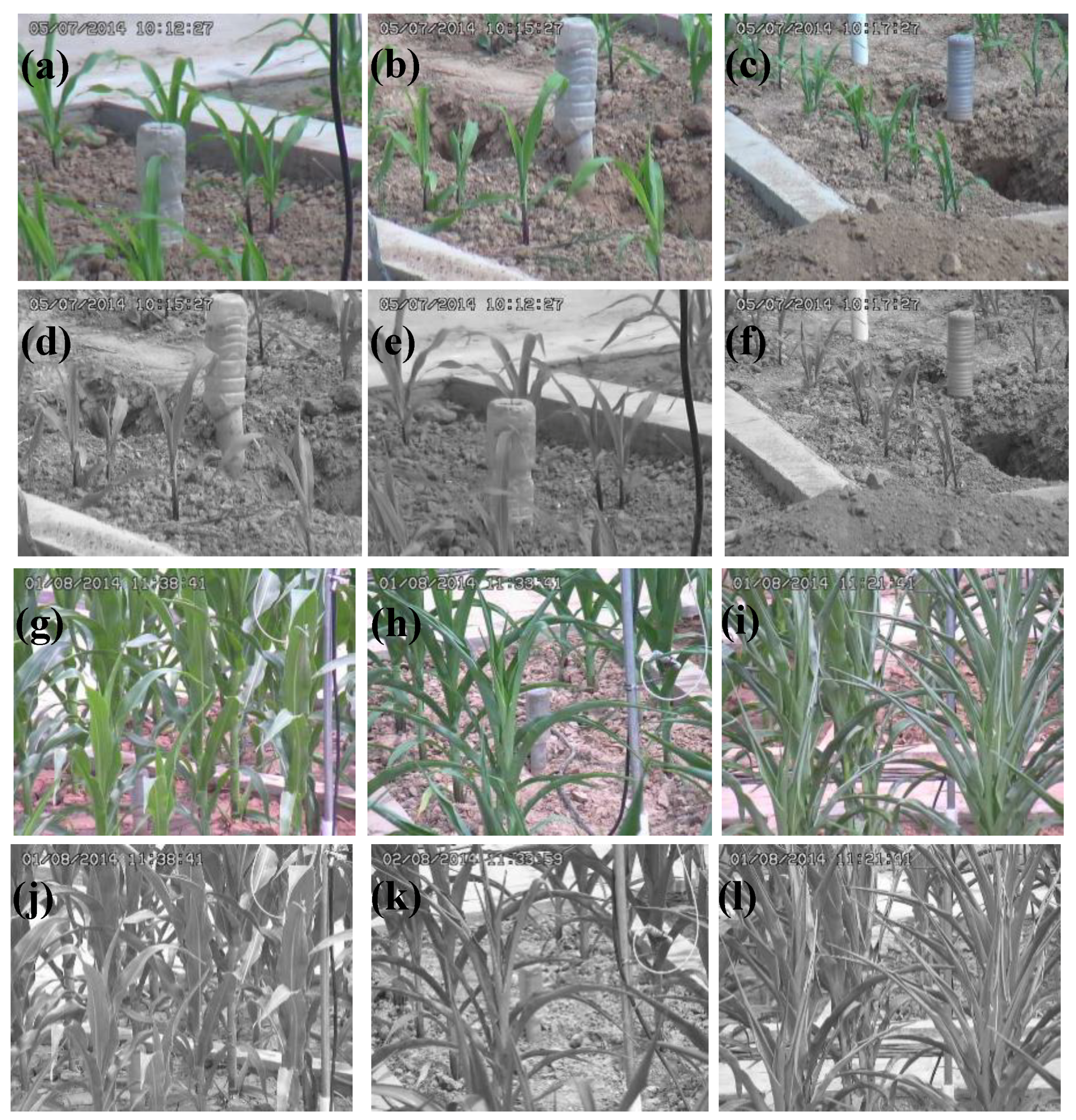 Symmetry 11 00256 g002 Symmetry 11 00256 g002