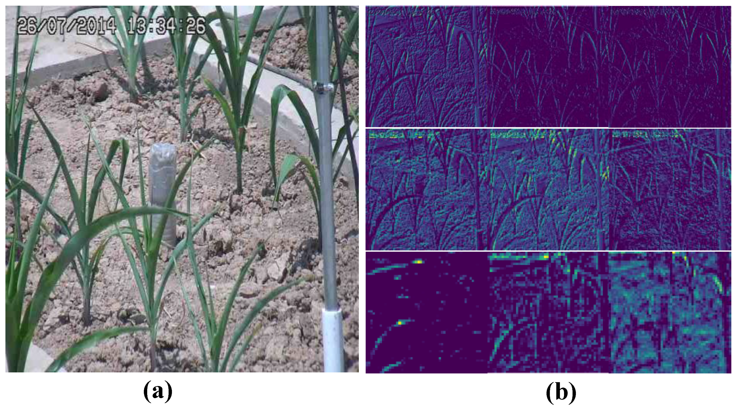 Symmetry 11 00256 g007 Symmetry 11 00256 g007
