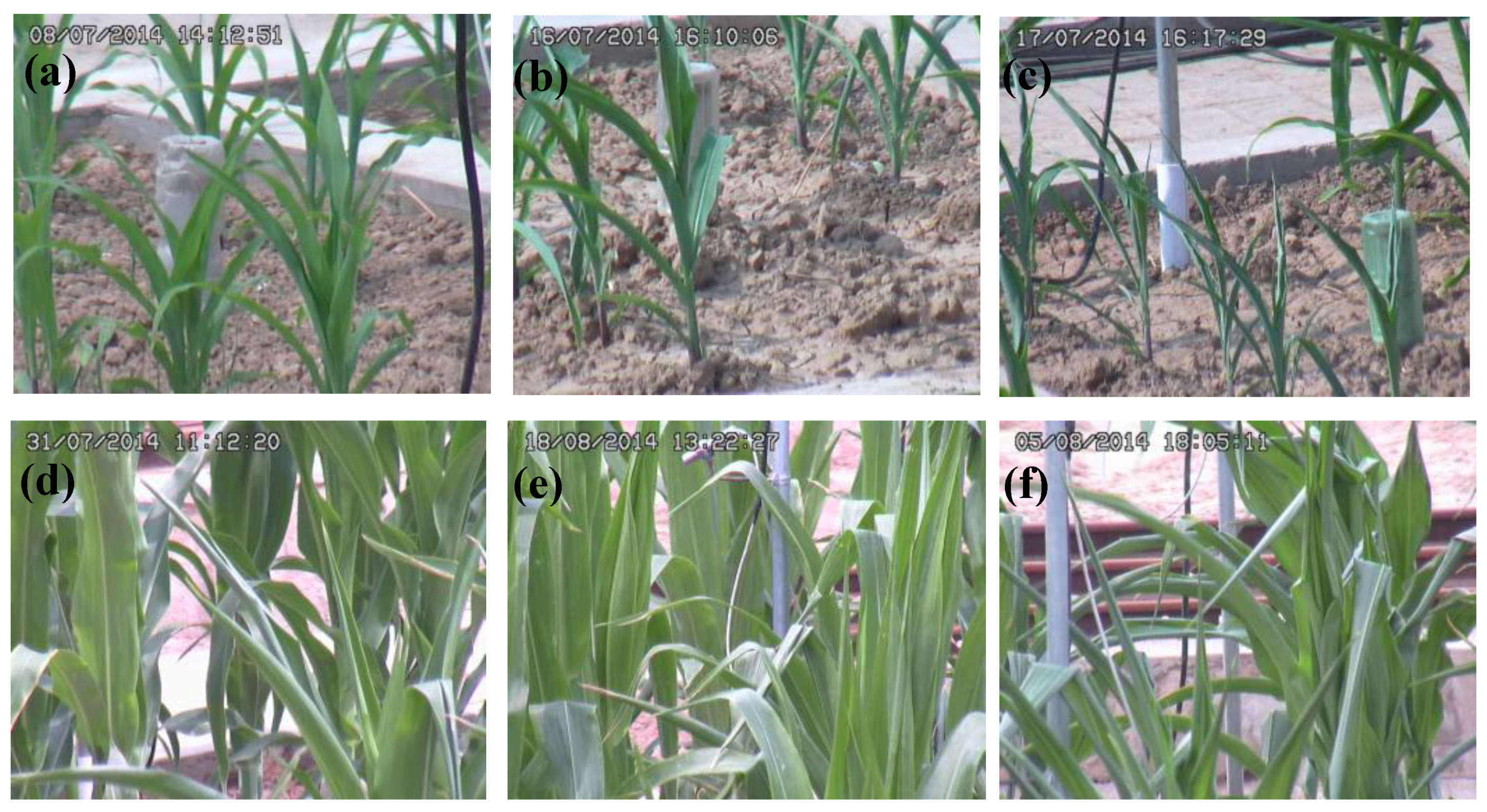 Symmetry 11 00256 g008 Symmetry 11 00256 g008