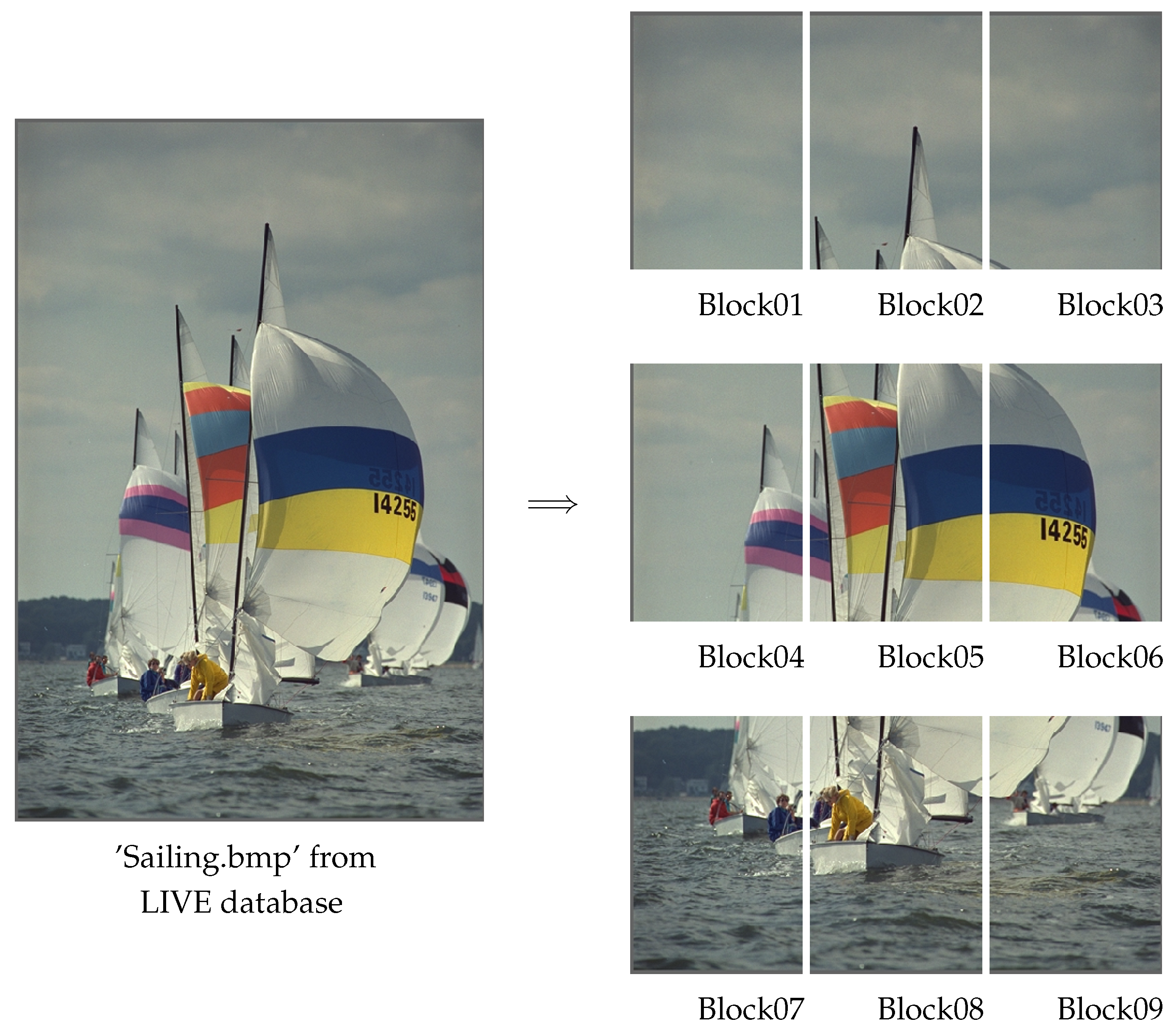 Symmetry 11 00296 g001