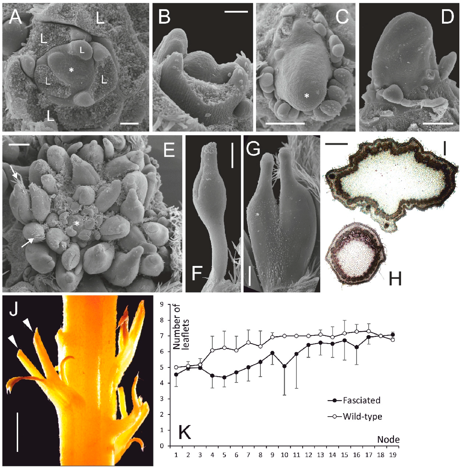 Symmetry 11 00321 g001