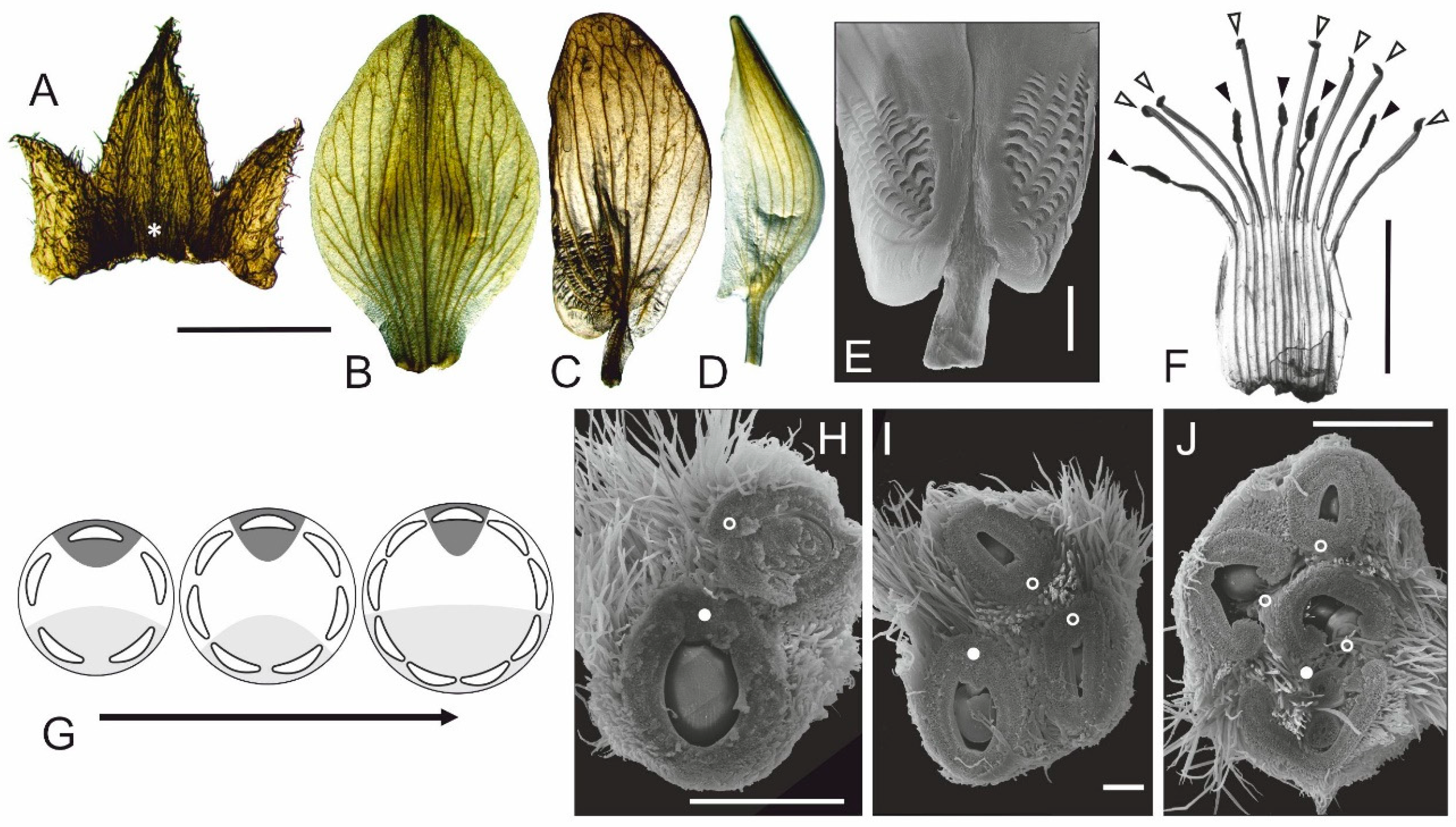 Symmetry 11 00321 g003