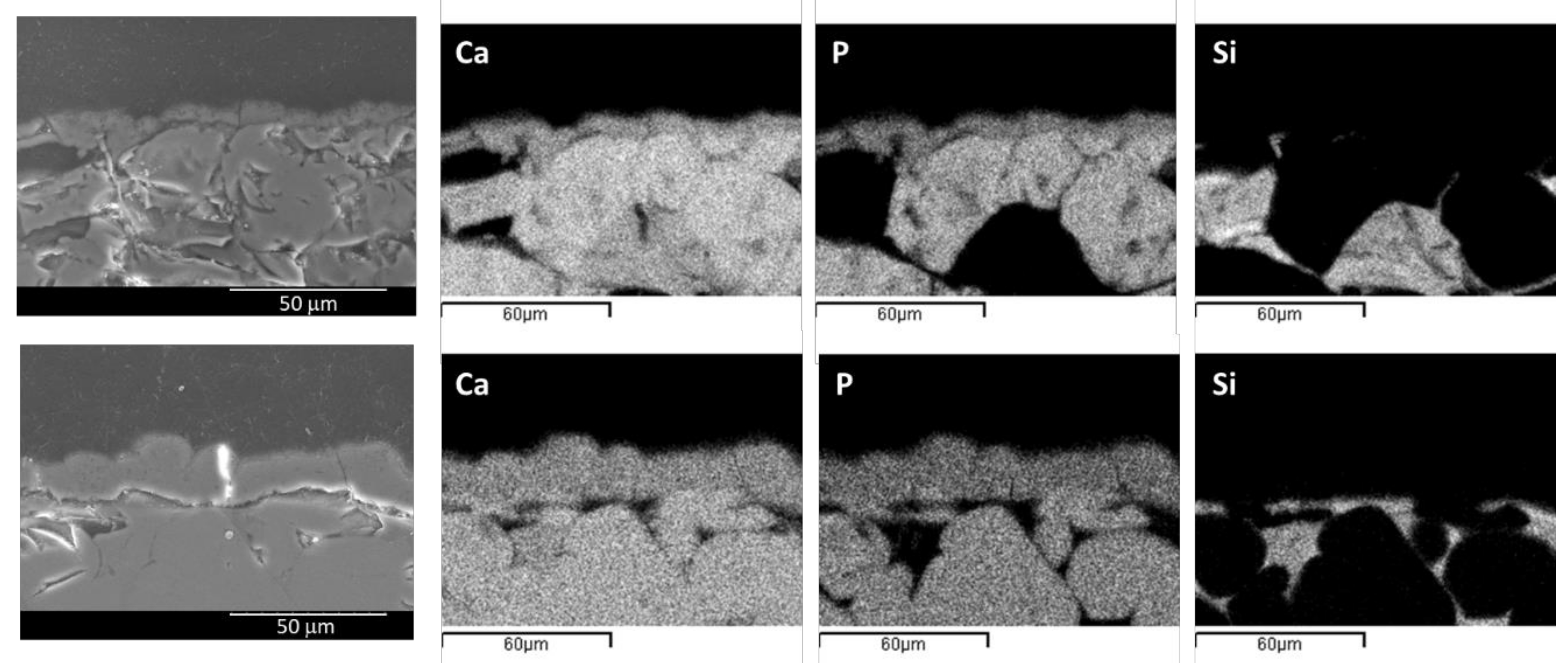 Symmetry 11 00355 g009 550