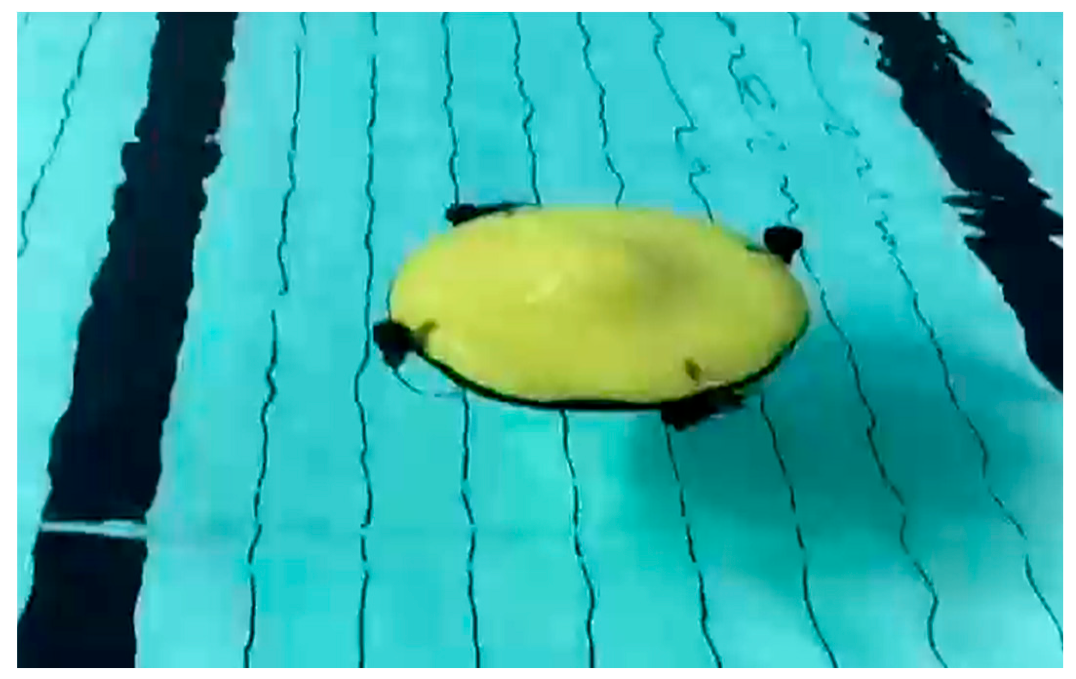 Symmetry 11 00397 g002 Symmetry 11 00397 g002