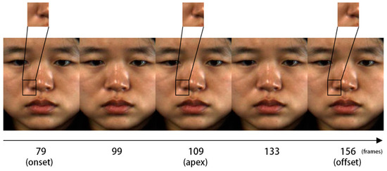 ekman micro expression training tool 3.0 download ekman micro expression training tool 3.0 download