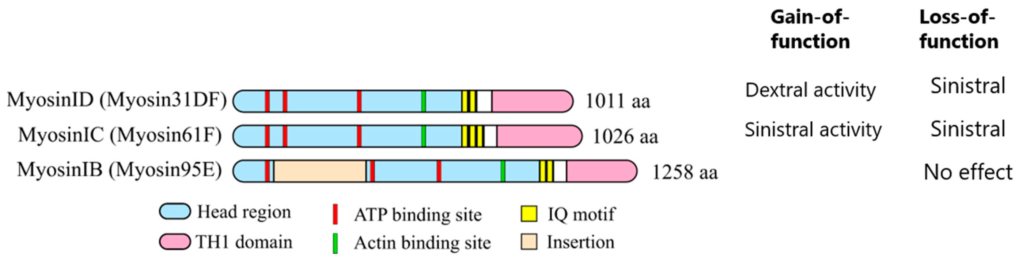 Symmetry 11 00505 g002 Symmetry 11 00505 g002