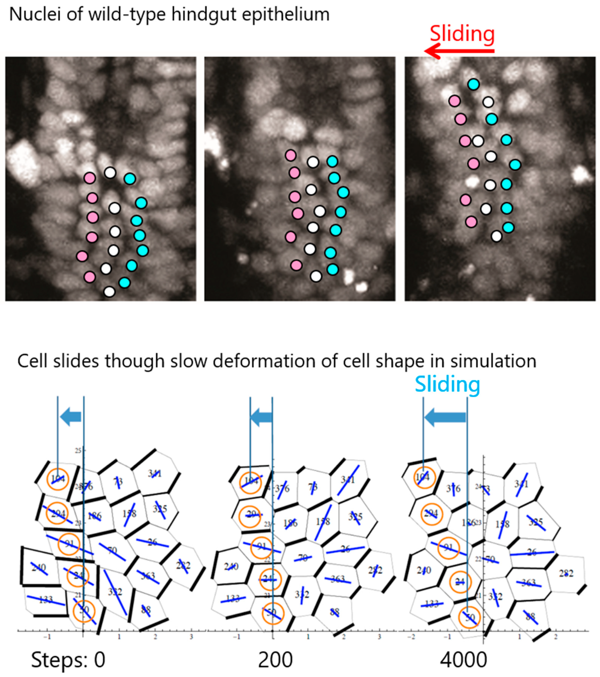 Symmetry 11 00505 g003 Symmetry 11 00505 g003