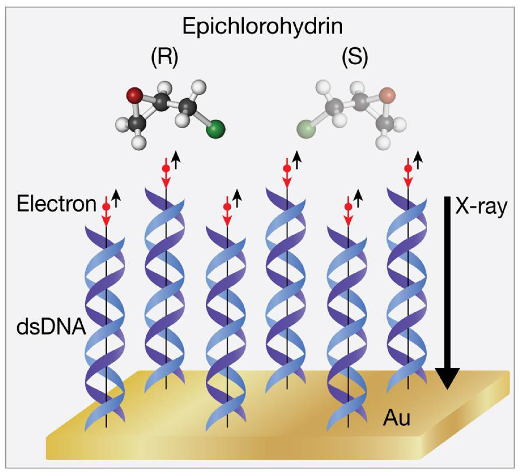 Symmetry 11 00528 g004 Symmetry 11 00528 g004