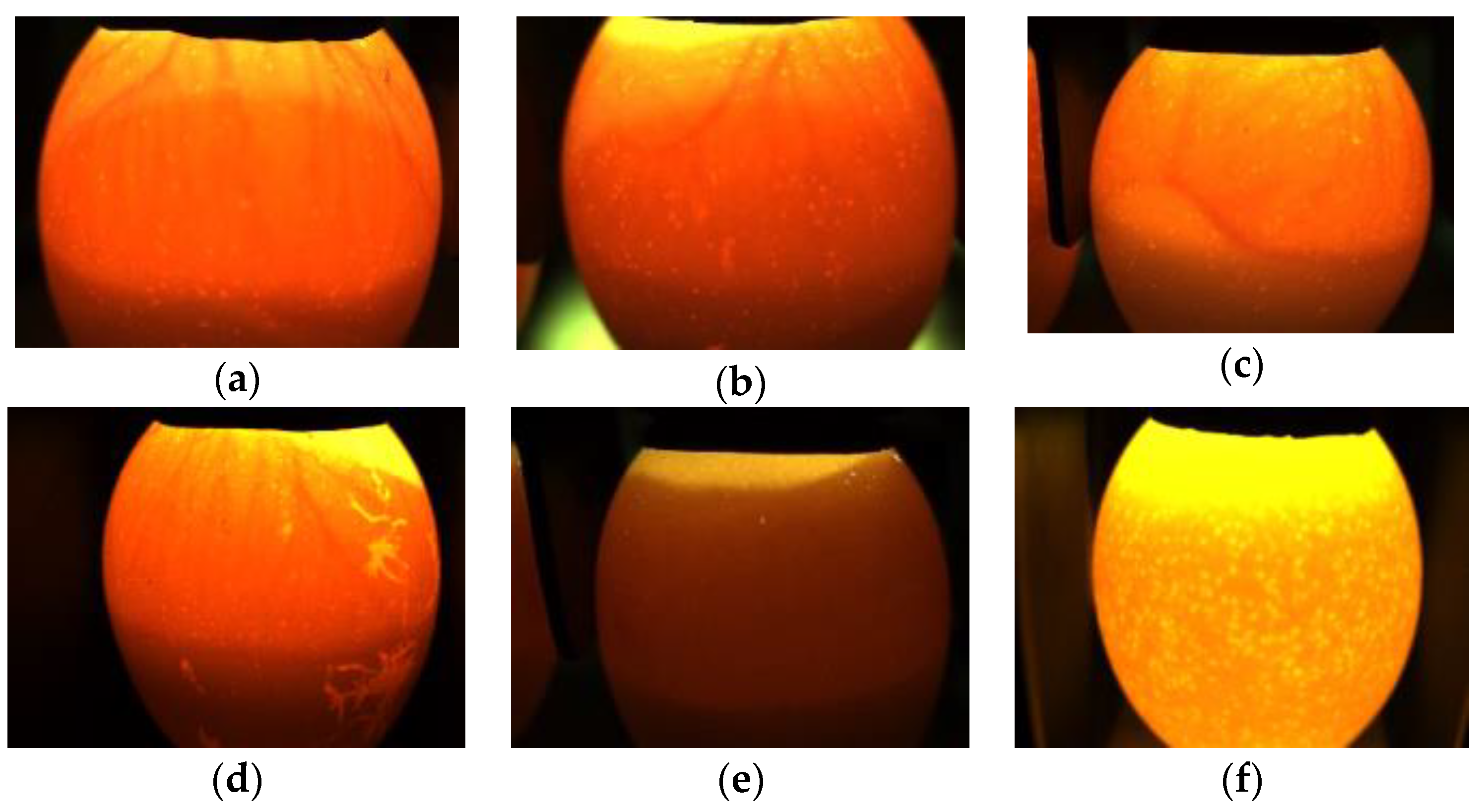 Symmetry 11 00606 g001 550