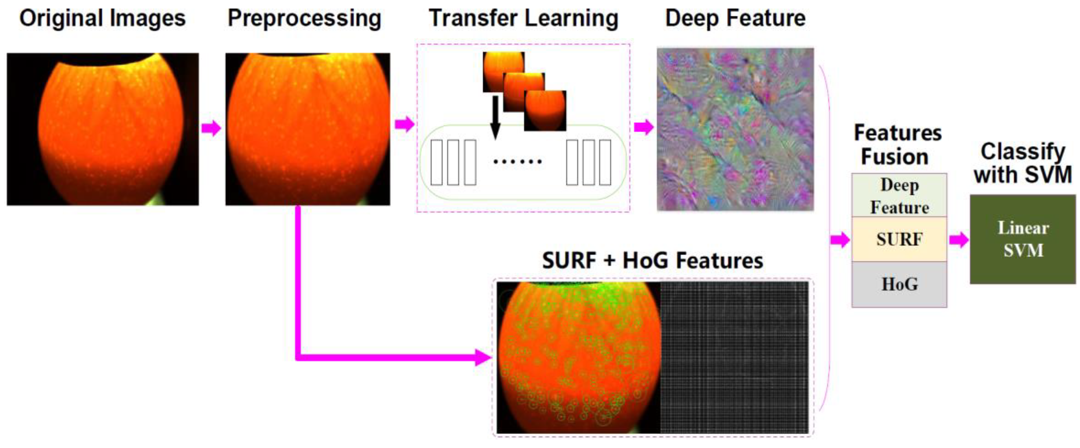 Symmetry 11 00606 g002 550