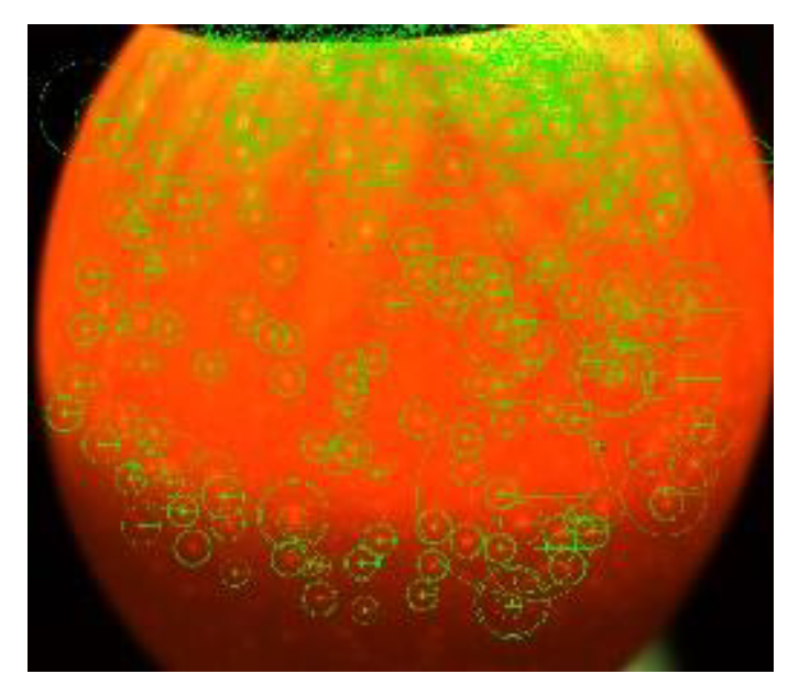 Symmetry 11 00606 g008 550