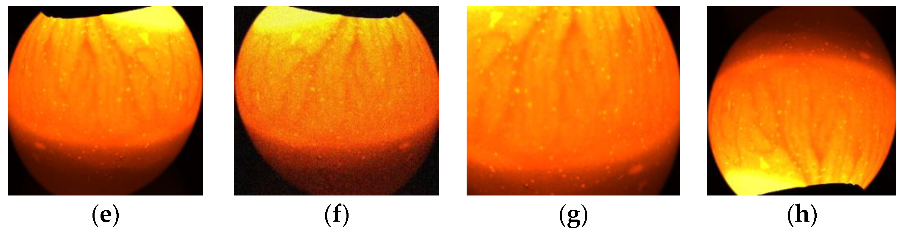 Symmetry 11 00606 g010b 550