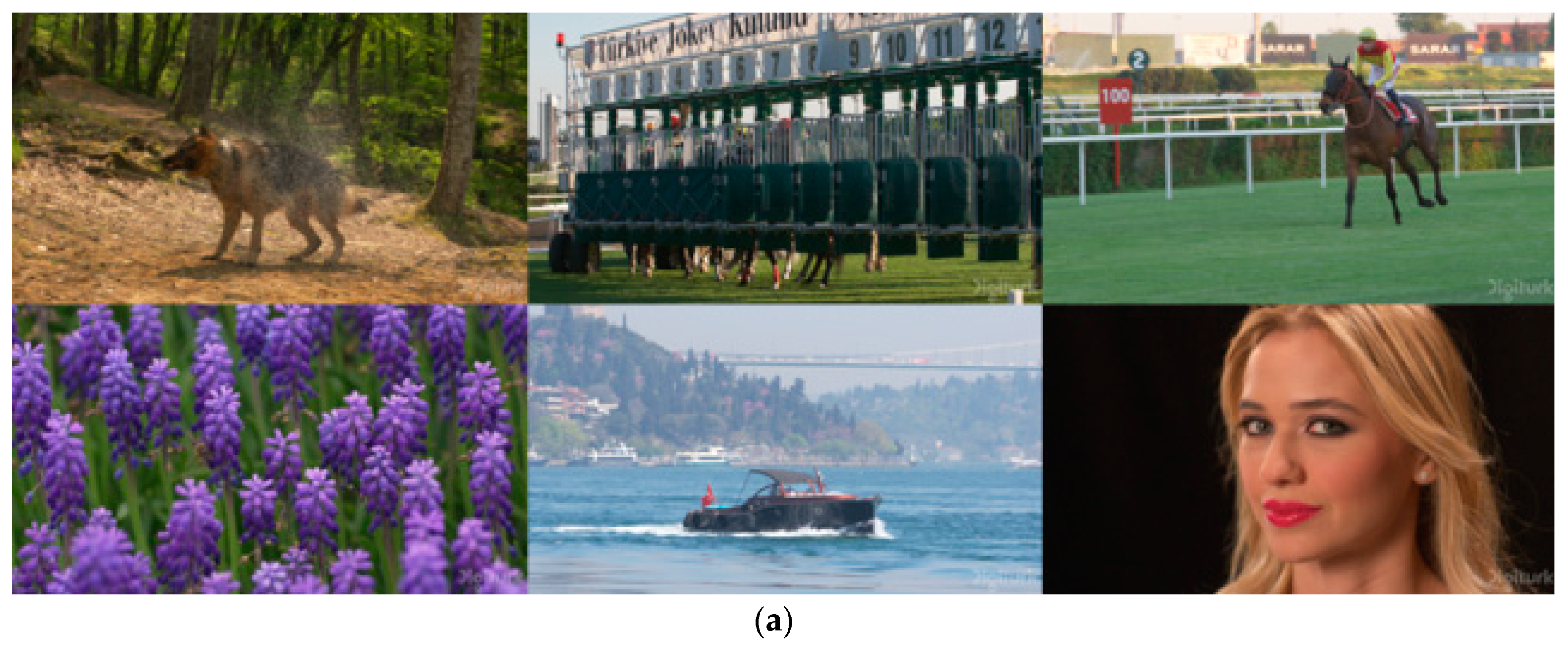 Symmetry 11 00619 g003a 550