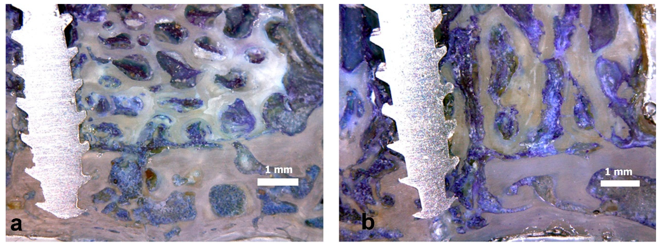 Symmetry 11 00641 g007