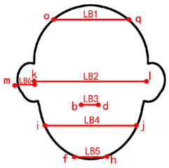 Symmetry 11 00664 i002