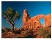 Symmetry 11 00716 i009