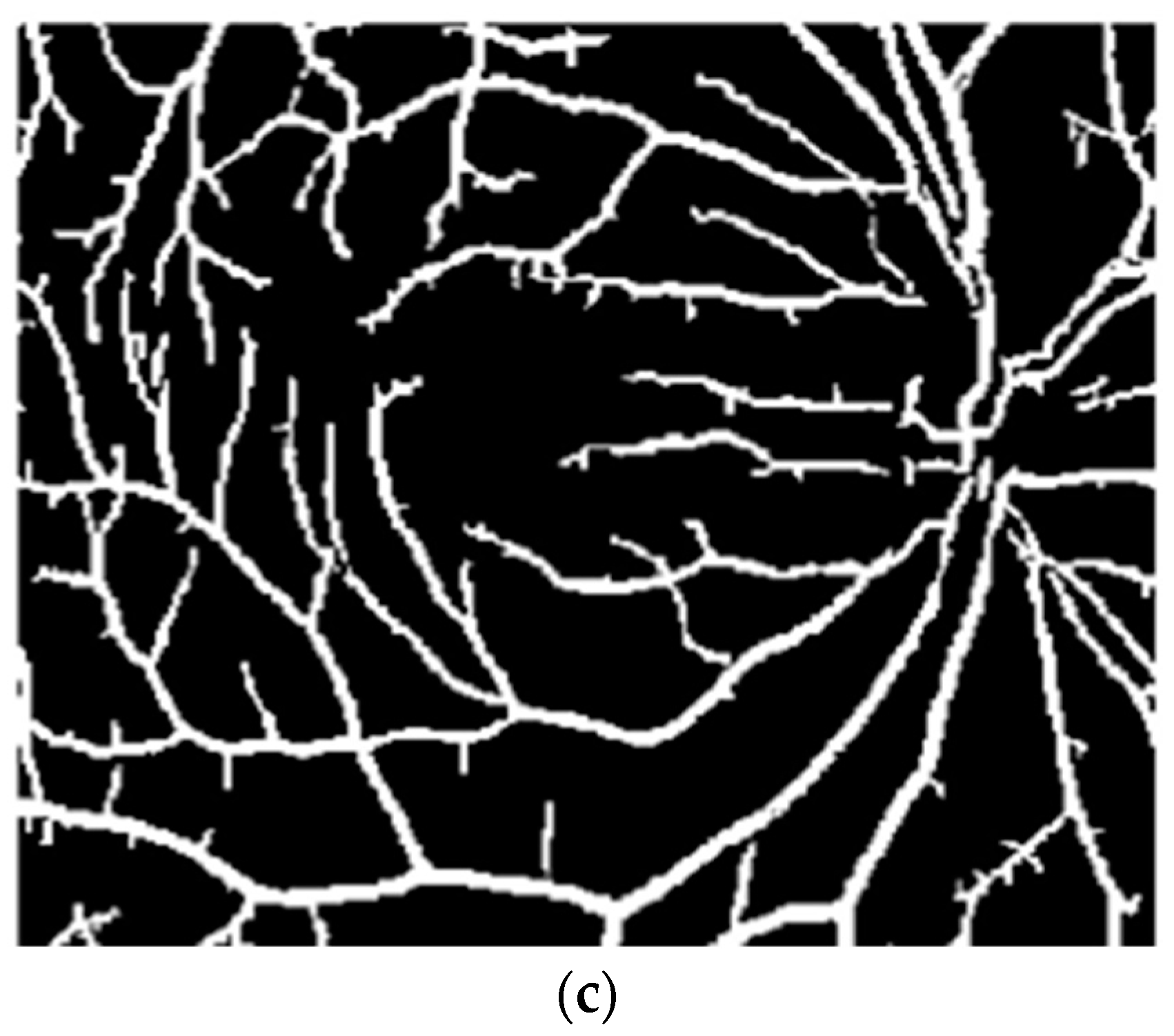 Symmetry 11 00749 g005b