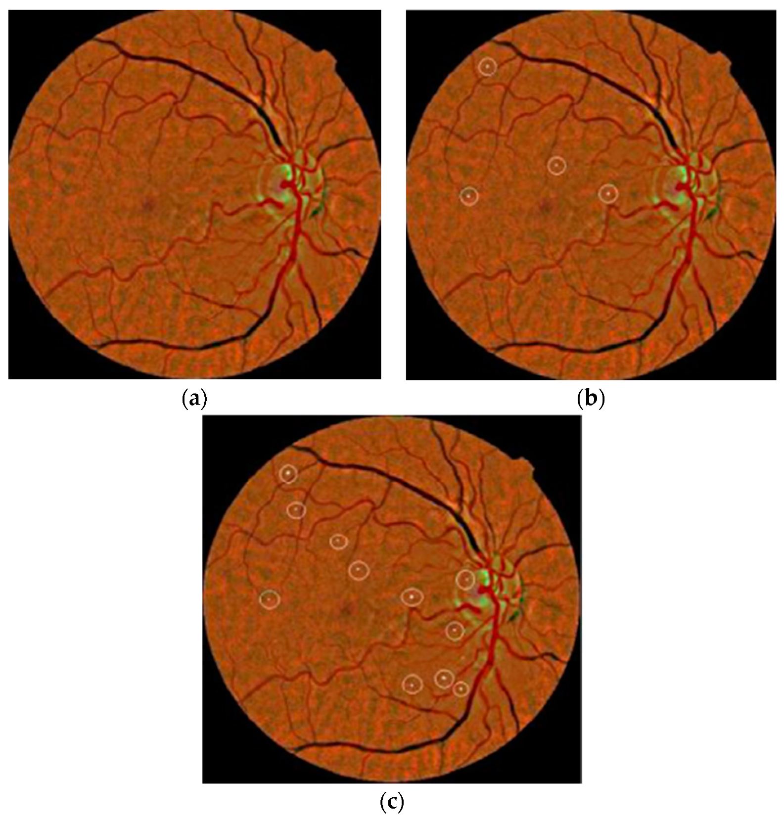 Symmetry 11 00749 g006