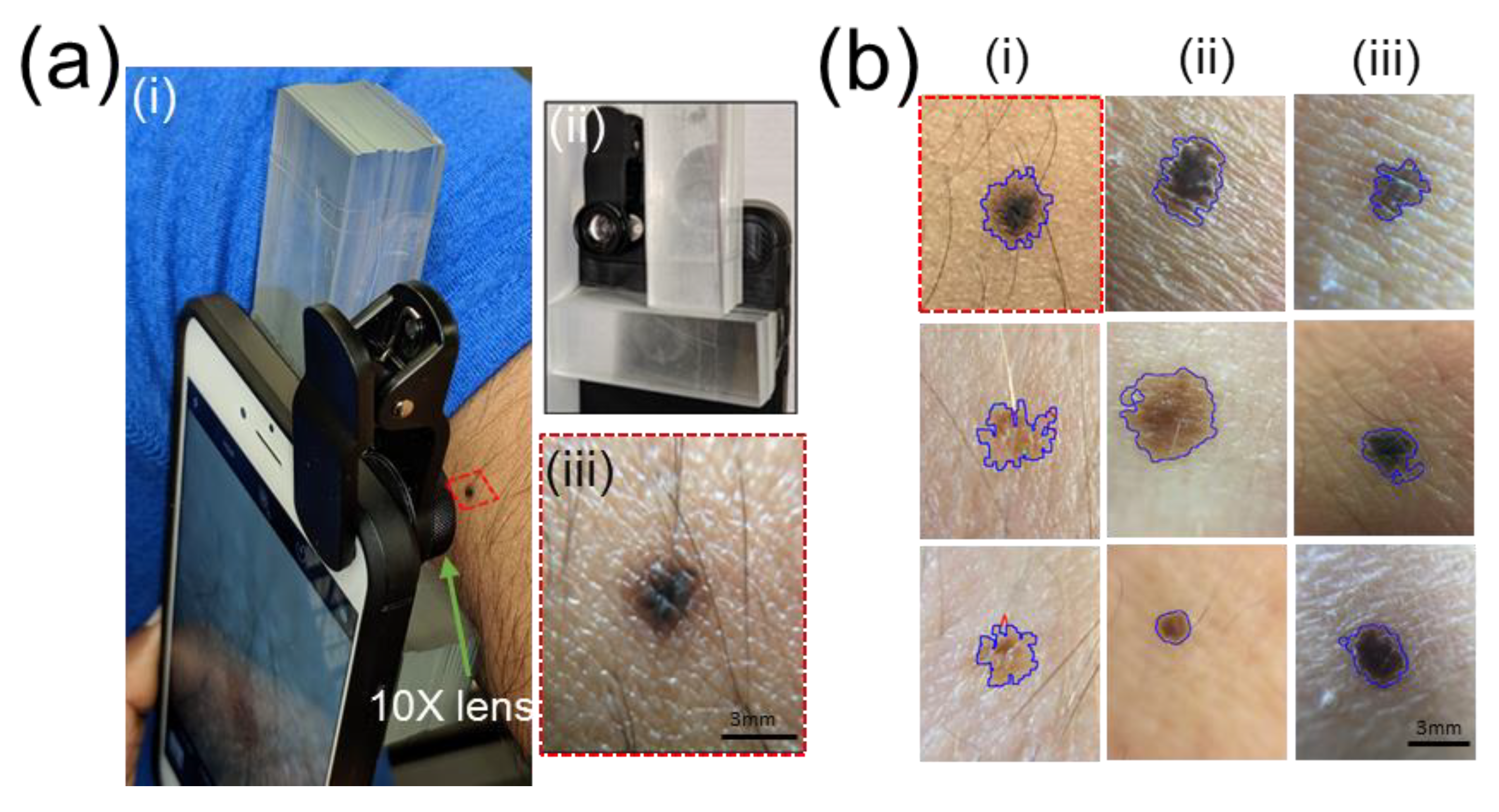 Symmetry 11 00790 g007