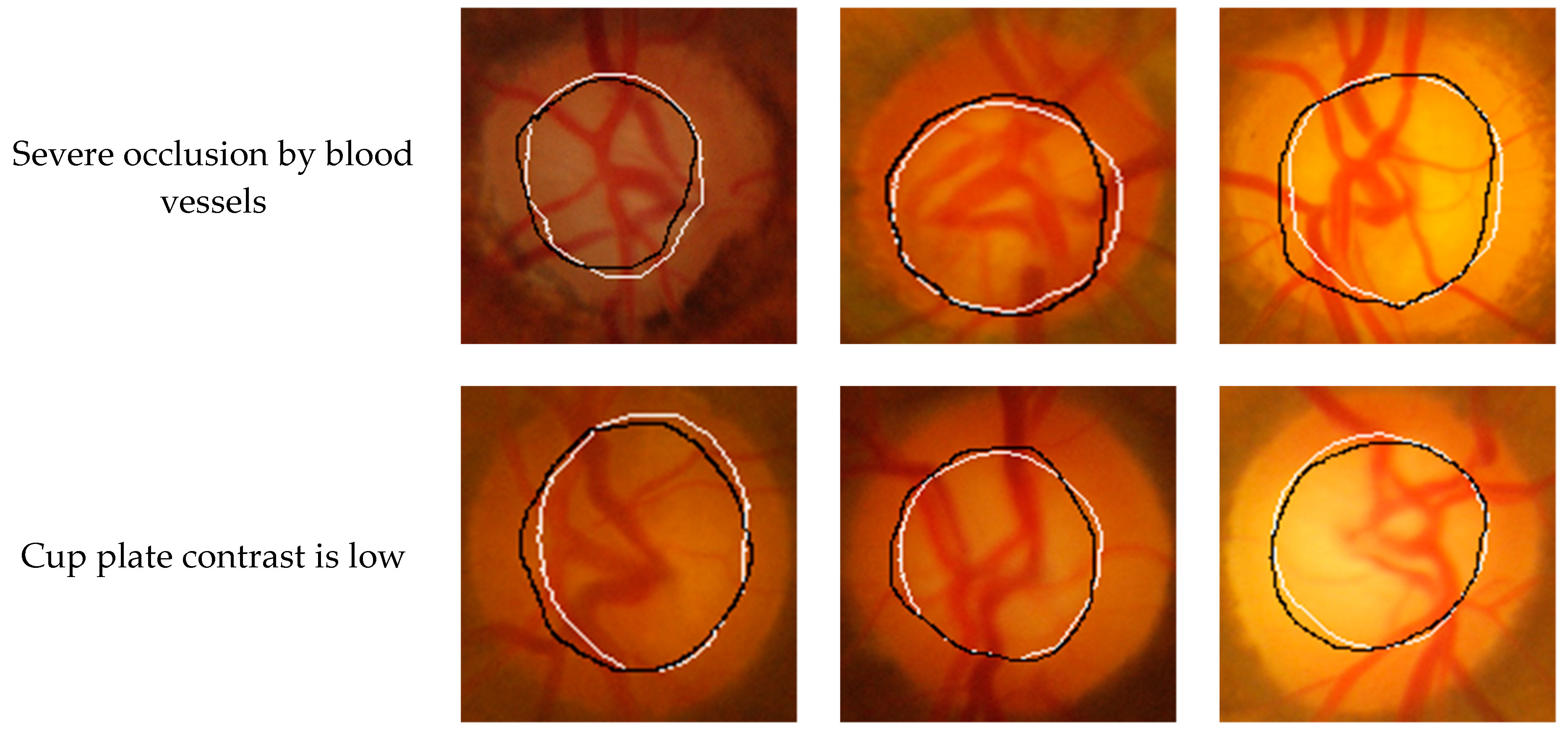 Symmetry 11 00933 g007a 550