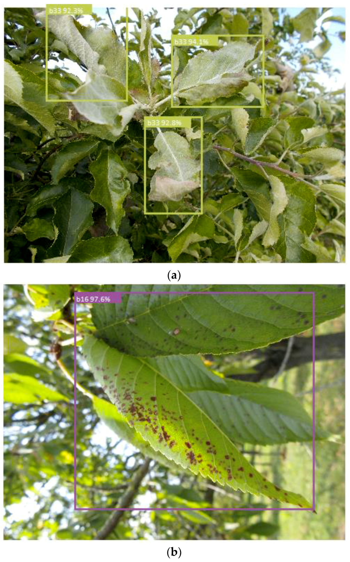 Symmetry 11 00939 g005