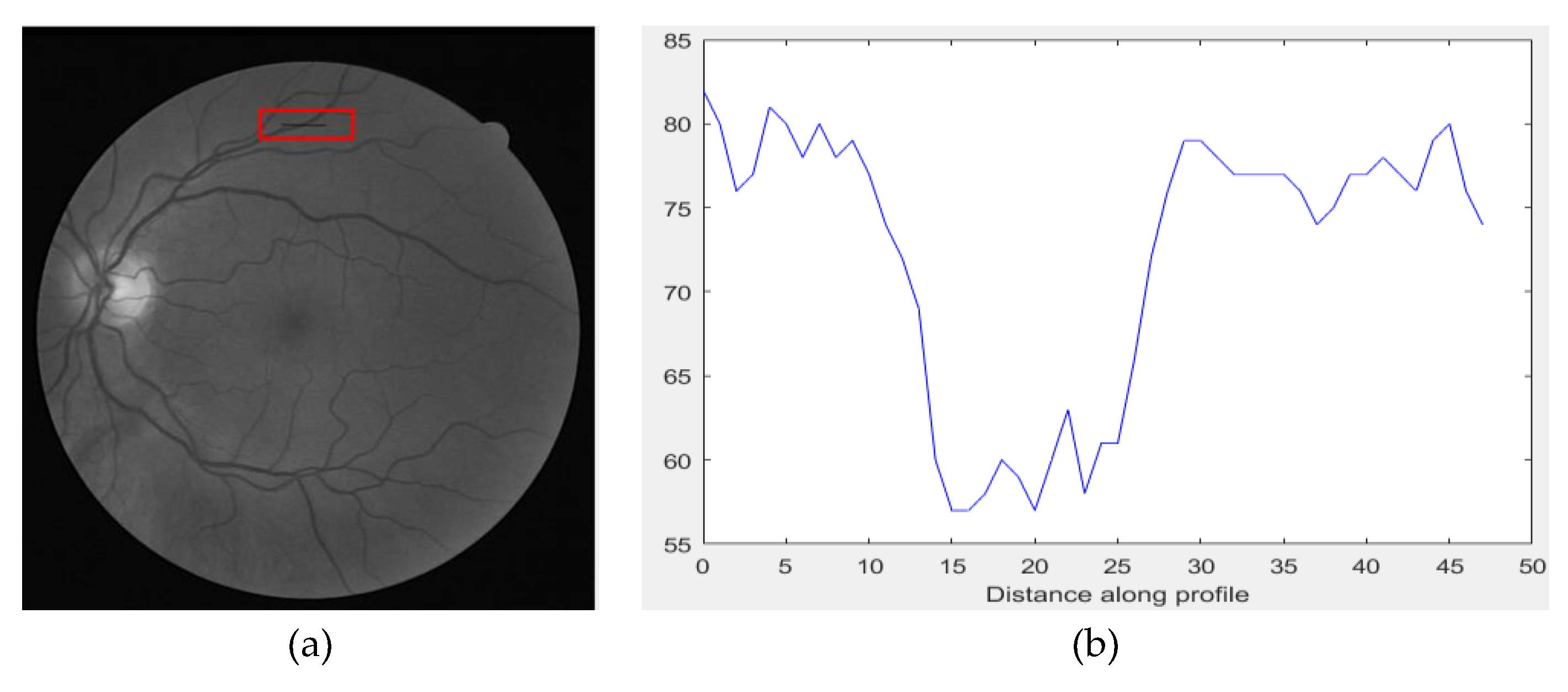 Symmetry 11 00946 g003