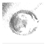 Symmetry 11 00990 i013