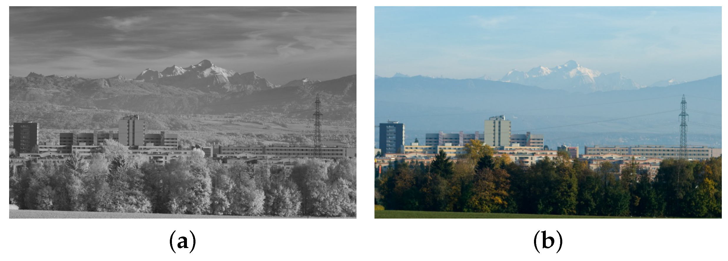 Symmetry 11 00998 g004a 550