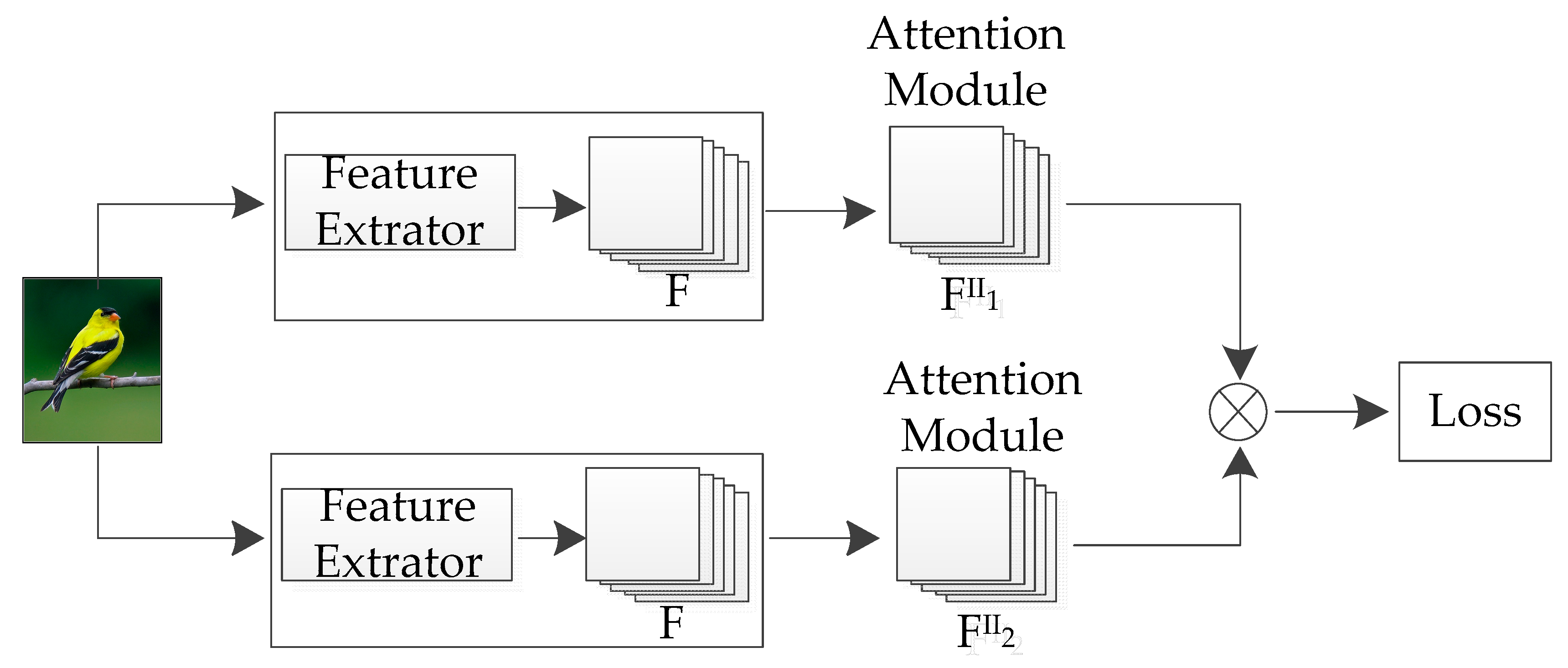 Symmetry 11 01033 g003