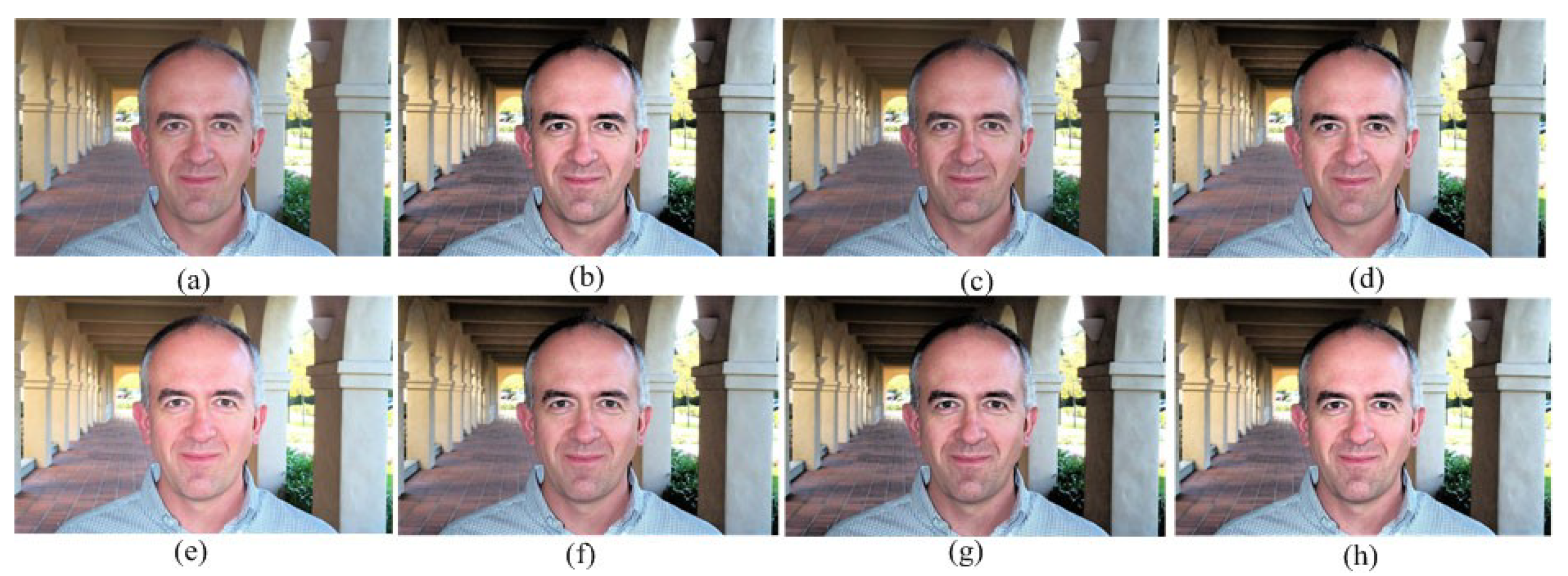 Symmetry 11 01062 g012