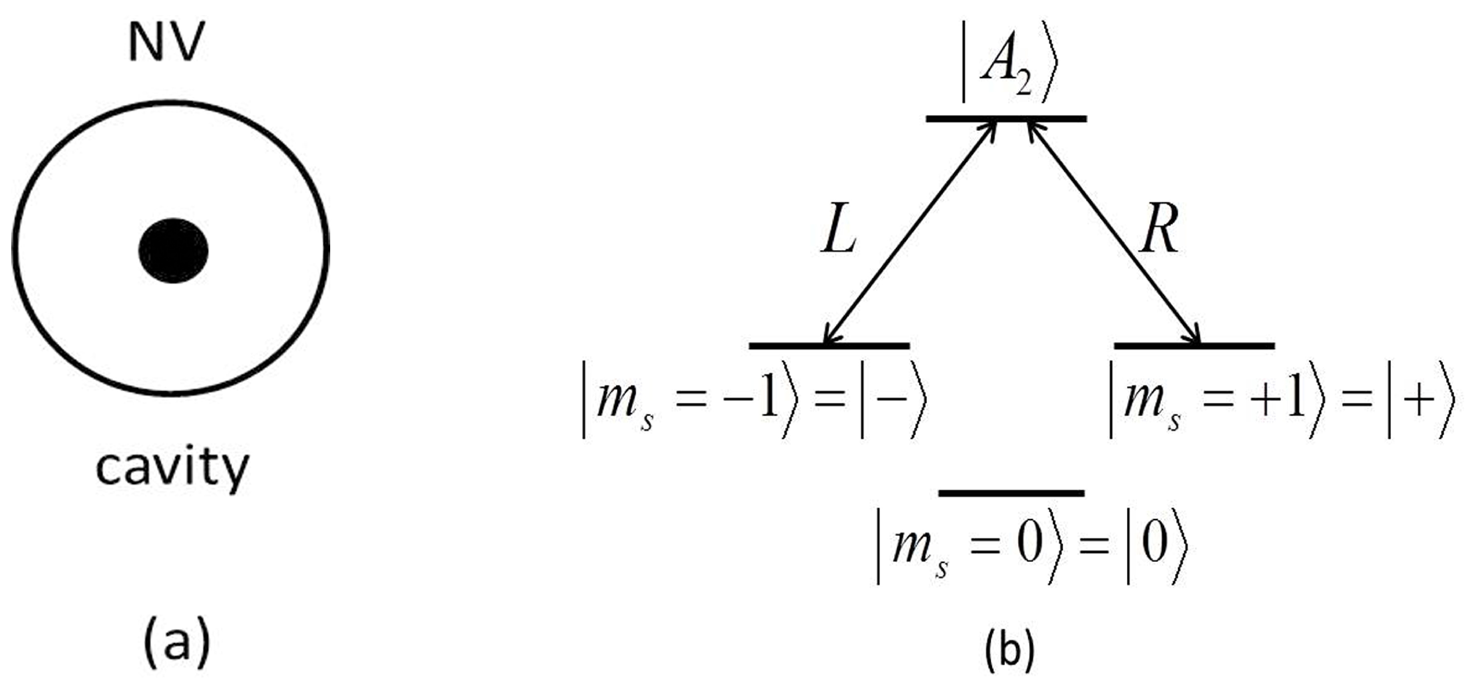 Symmetry 11 01079 g001 Symmetry 11 01079 g001