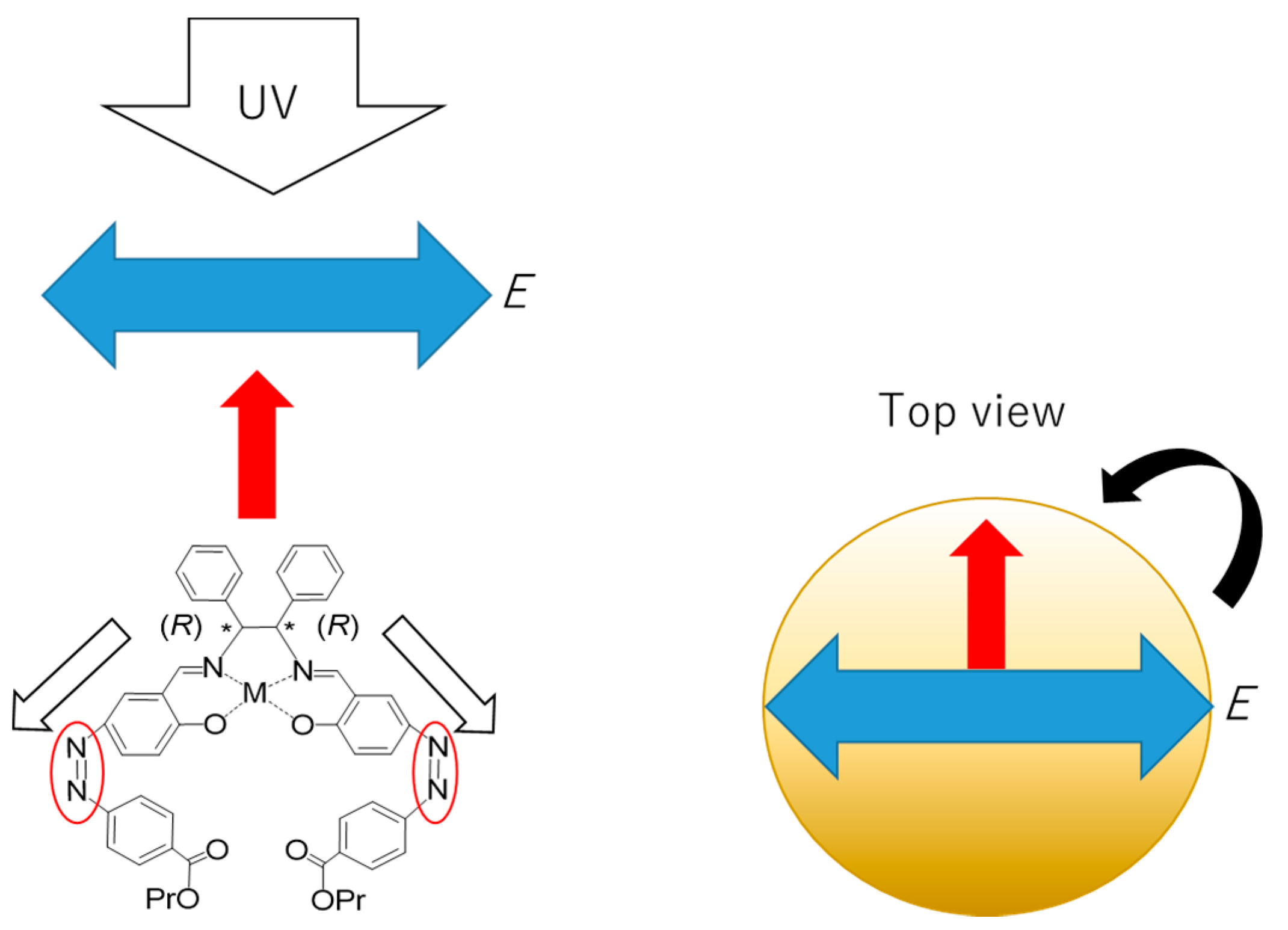 Symmetry 11 01094 g012