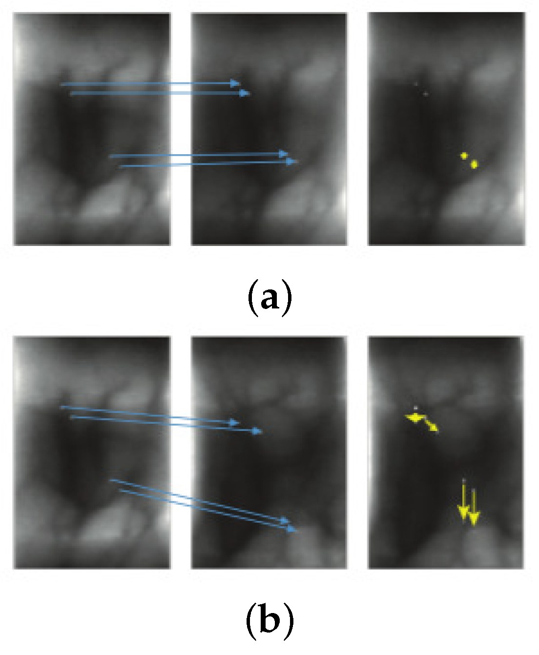 Symmetry 11 01167 g003