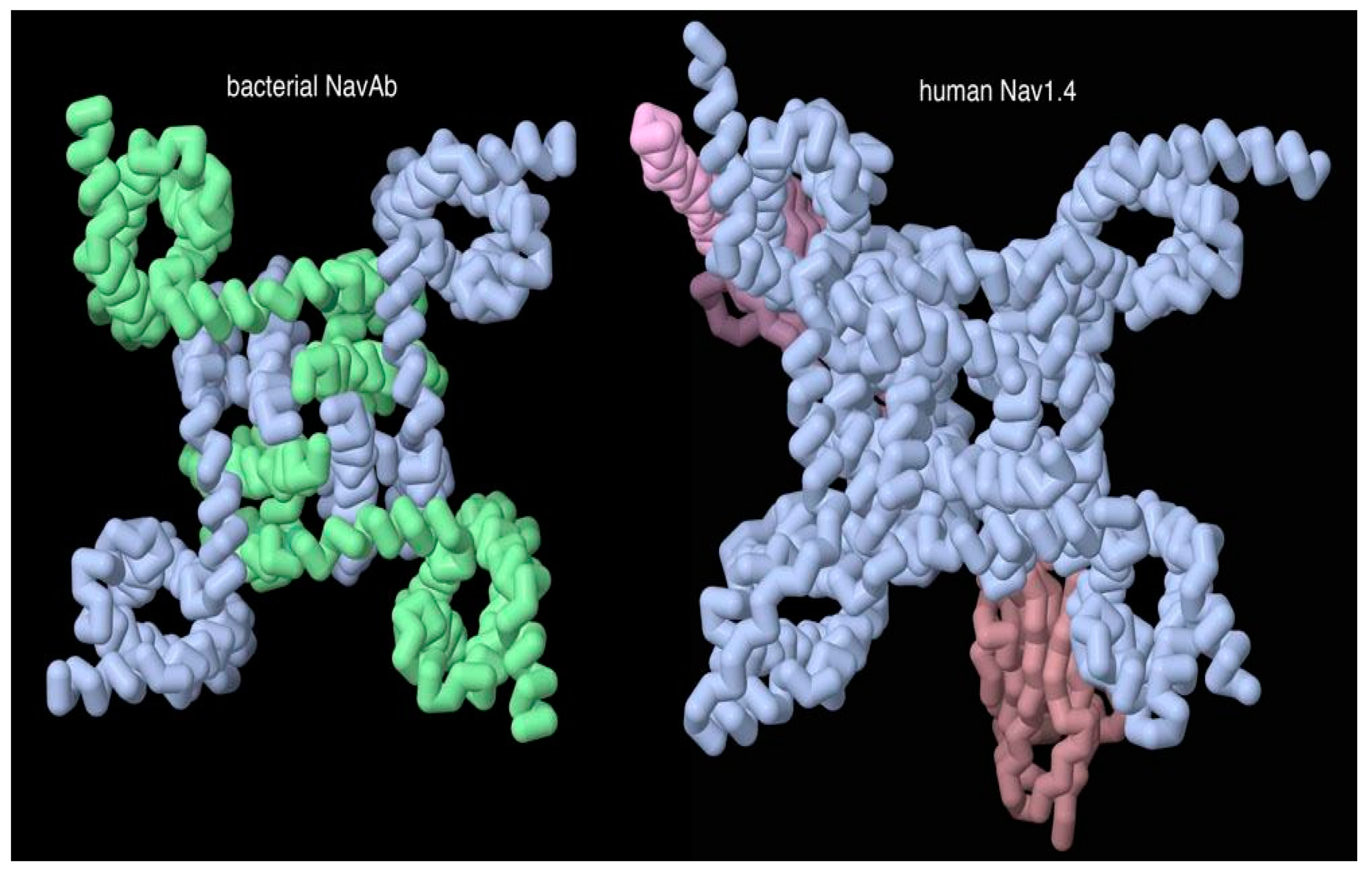 Symmetry 11 01170 g005