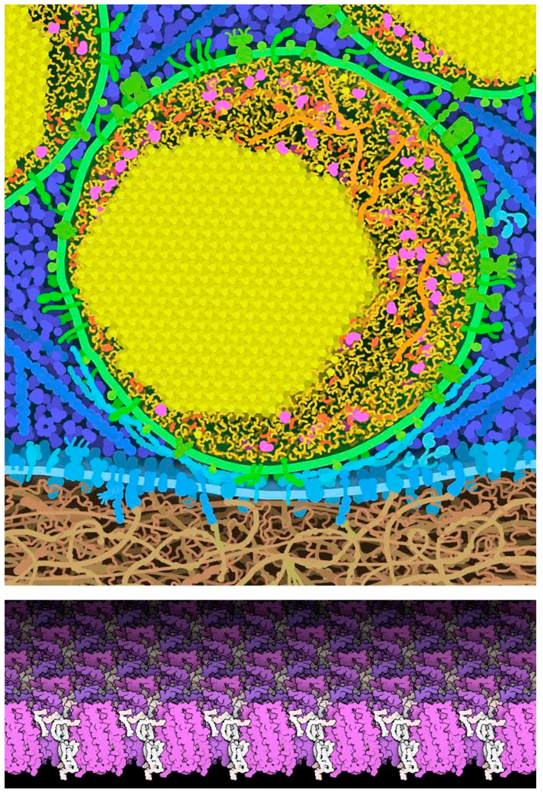Symmetry 11 01170 g007