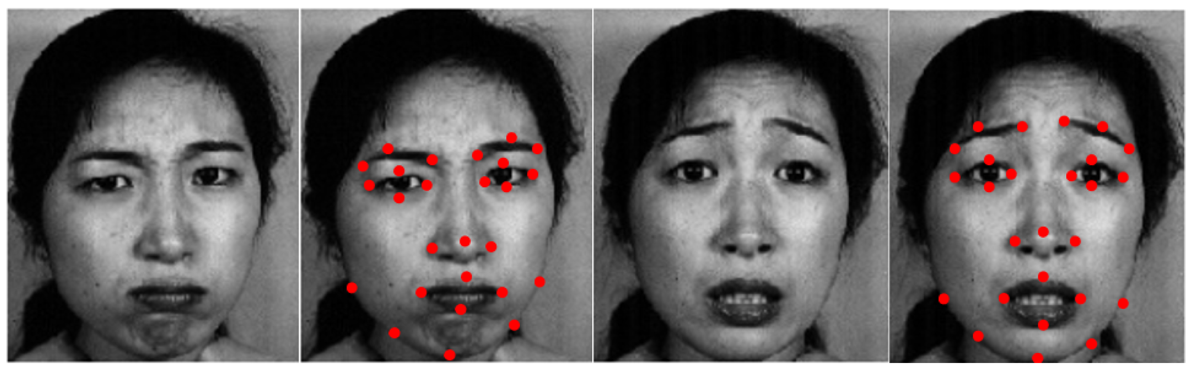 Symmetry 11 01189 g002