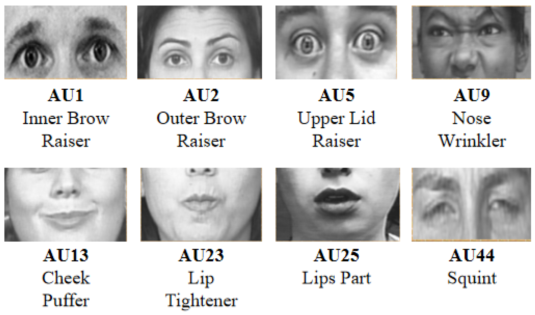 Subtle expression training tool download Subtle expression training tool download