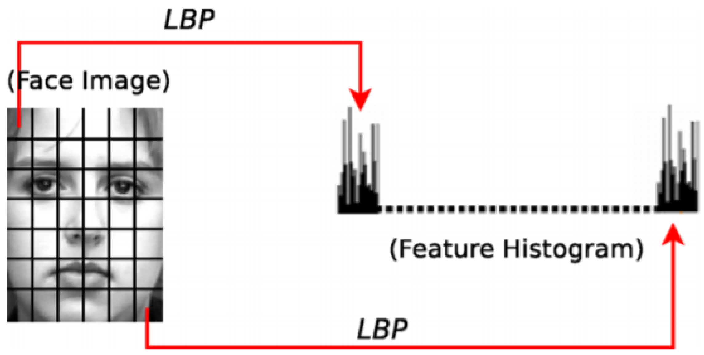 Symmetry 11 01189 g005