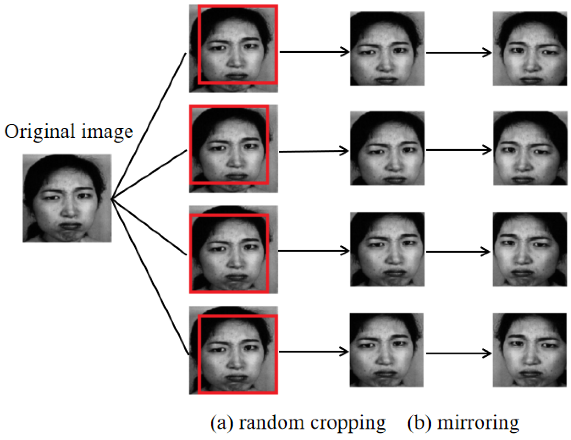 Symmetry Free FullText Facial Expression Recognition A Survey