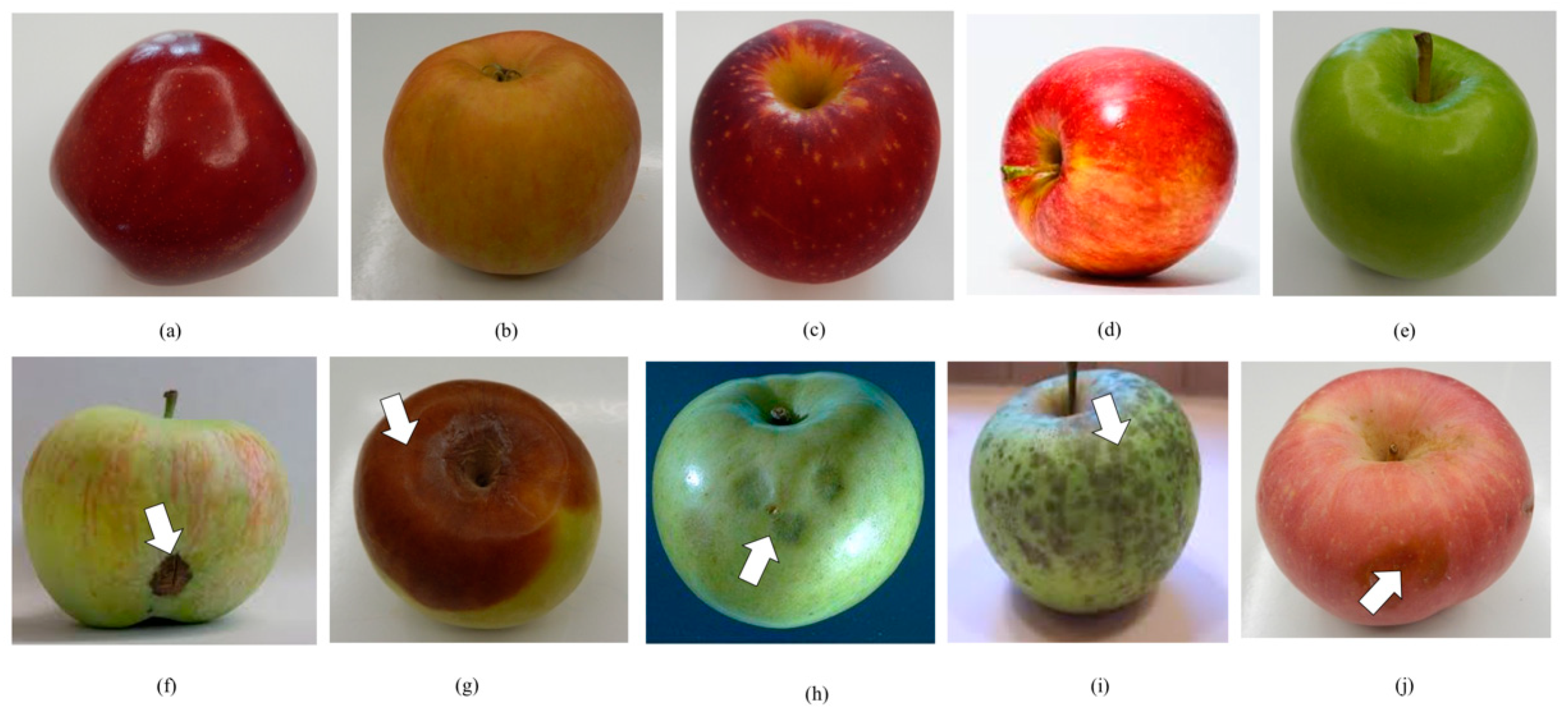 яблоко классификация
