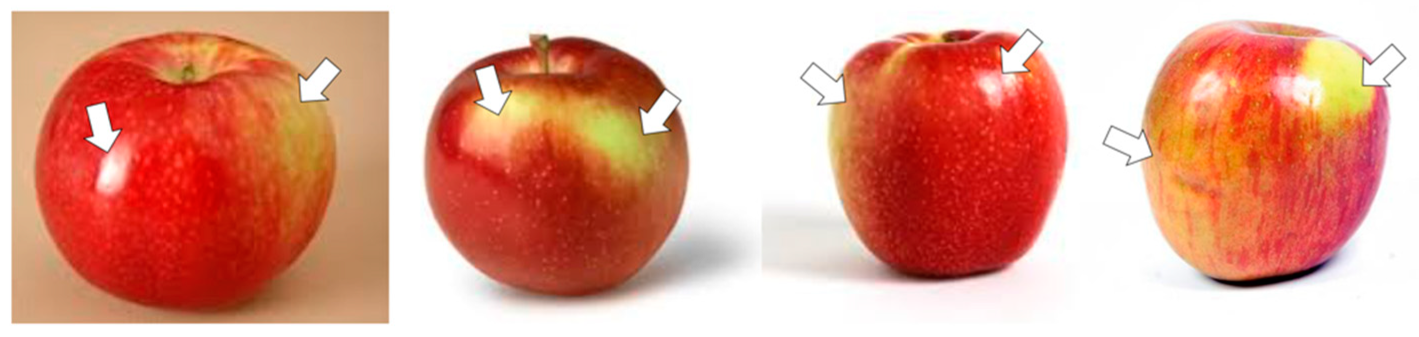 Symmetry 11 01194 g010