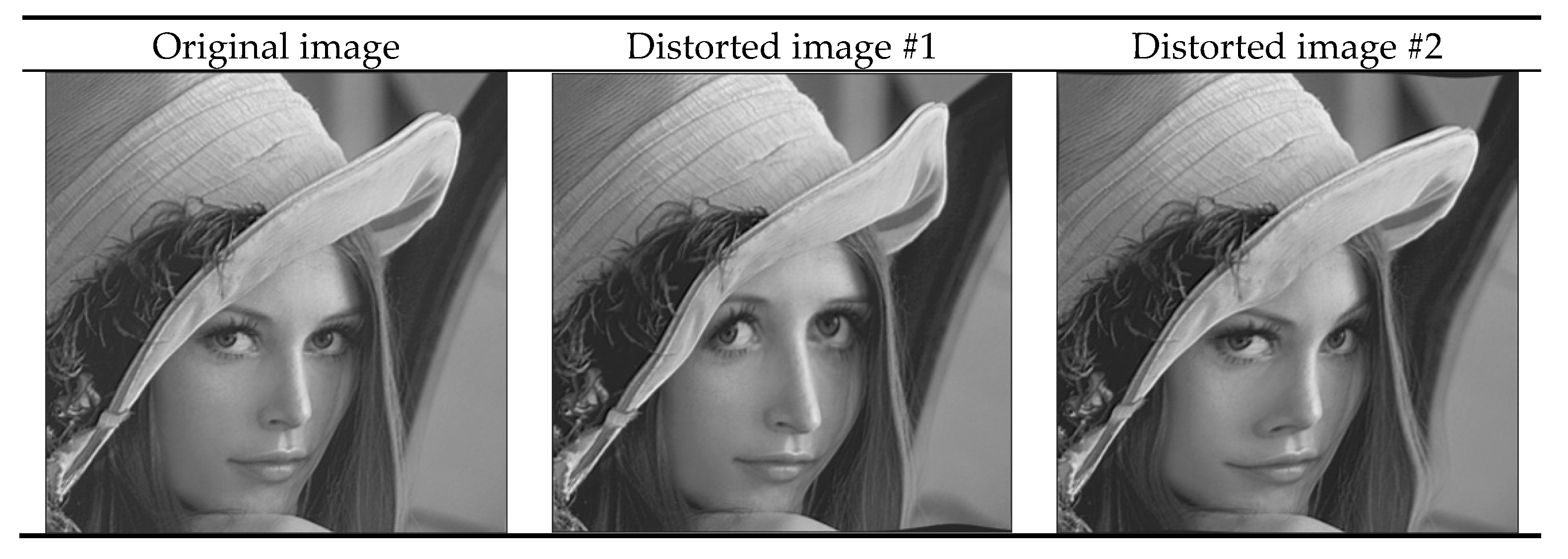 Symmetry 11 01210 g013