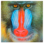 Symmetry 11 01227 i008 Symmetry 11 01227 i008