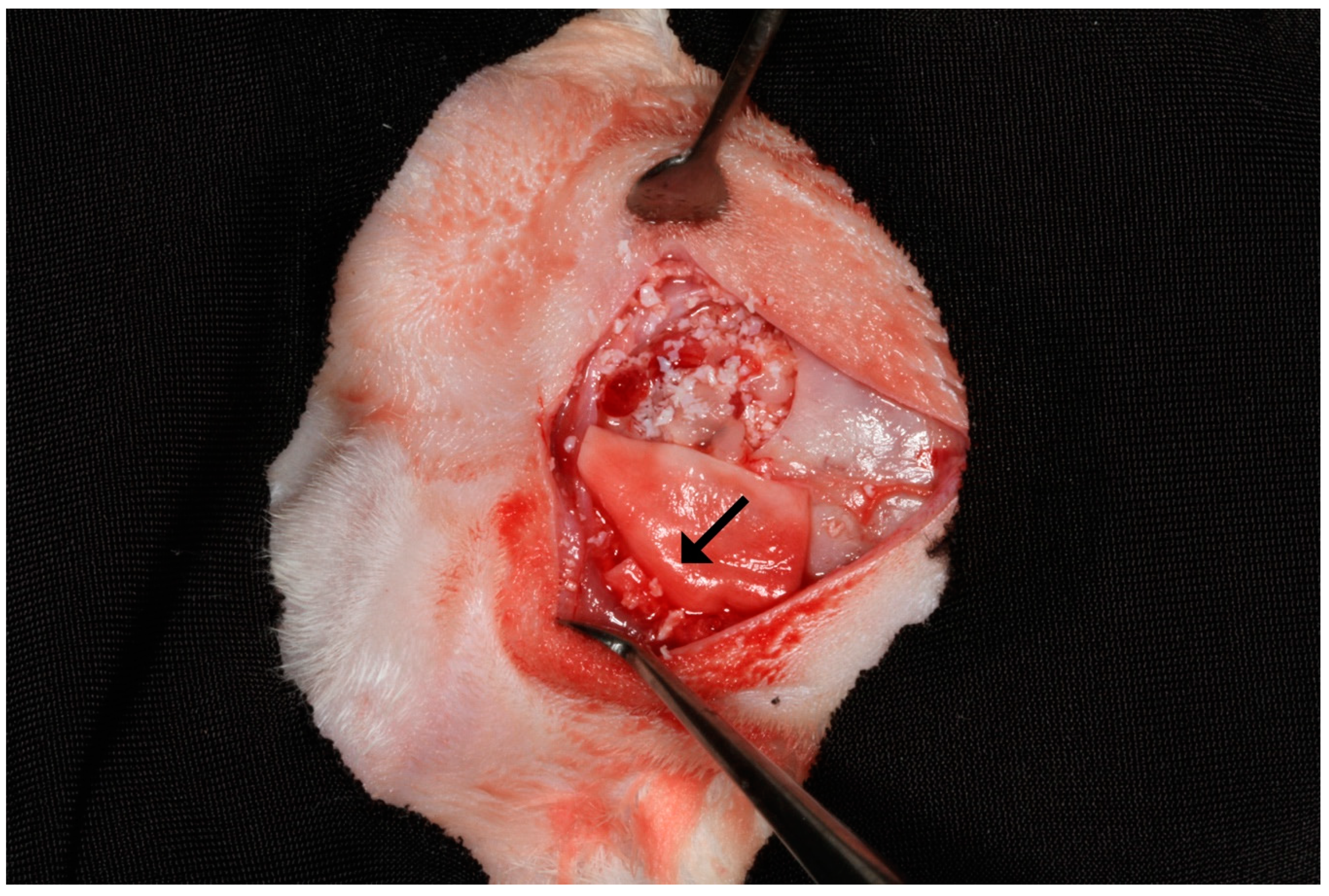 Symmetry 11 01293 g003