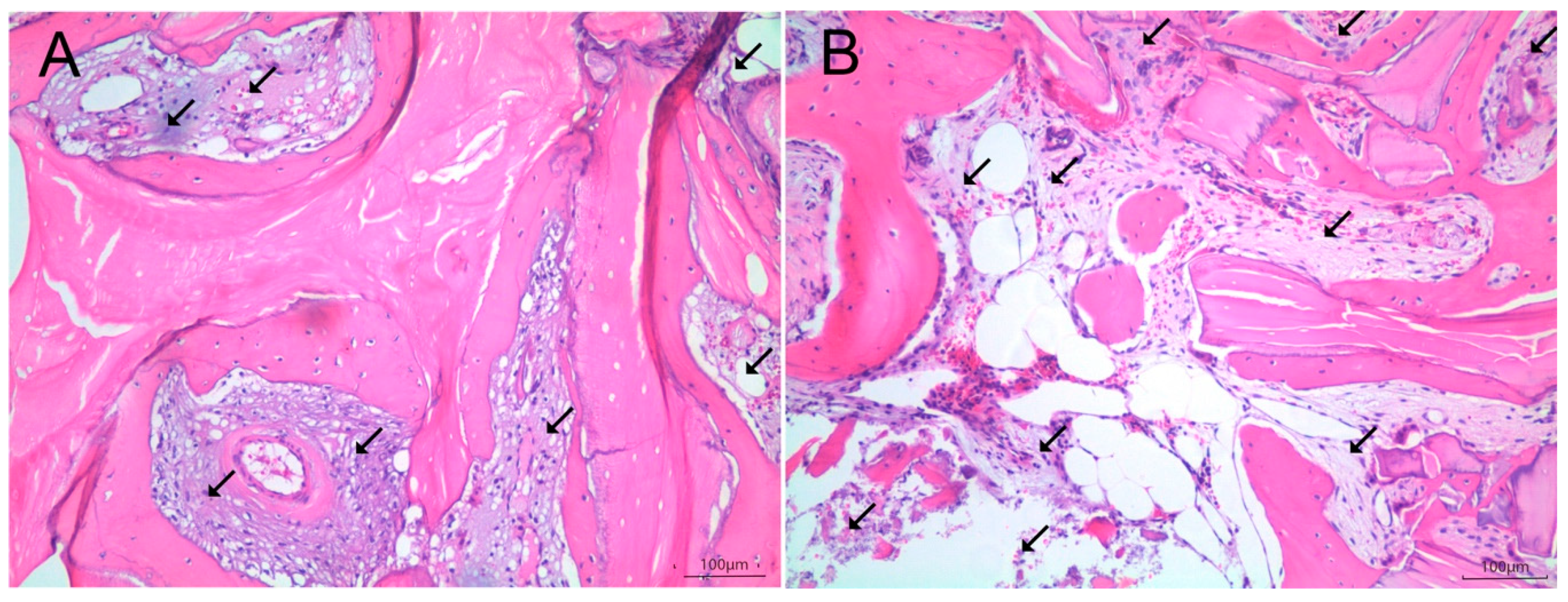 Symmetry 11 01293 g004